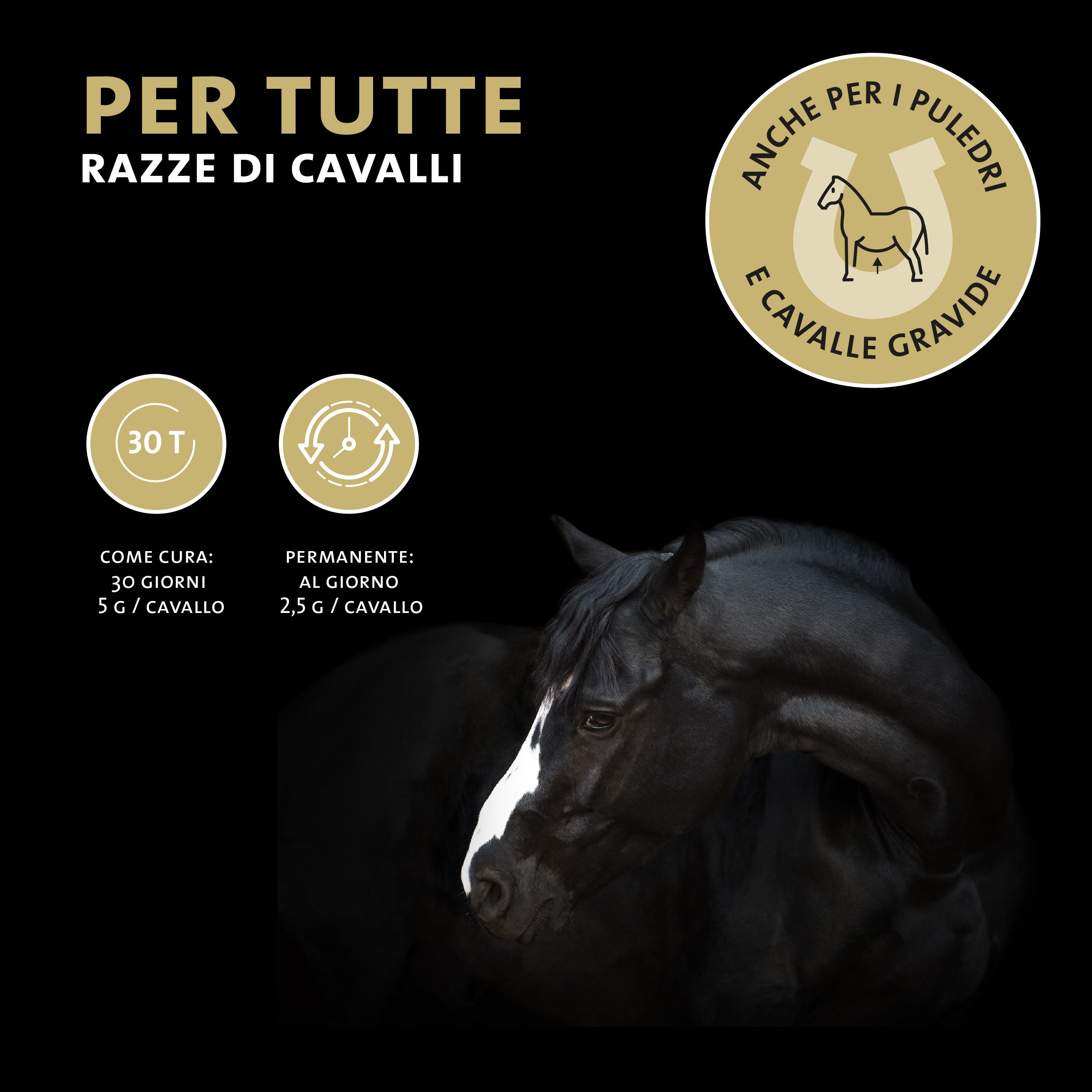 Contenitore in polvere Pethorse Health 4601 Peticare con icone: aggressività, ansia, prurito, diarrea, facile somministrazione.