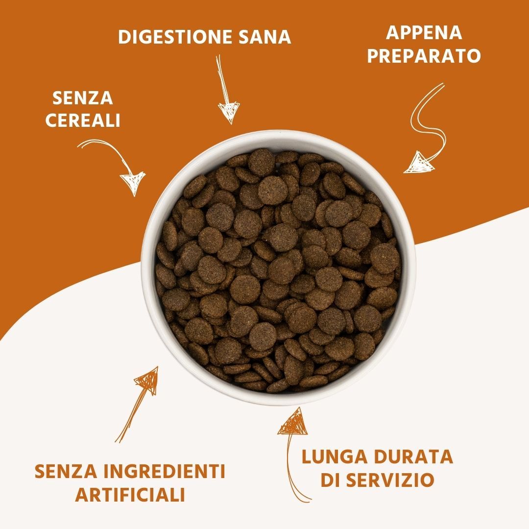 Primo piano di cibo secco in una ciotola. Frecce indicano: digestione, appena preparato, senza ingredienti artificiali, lunga durata.