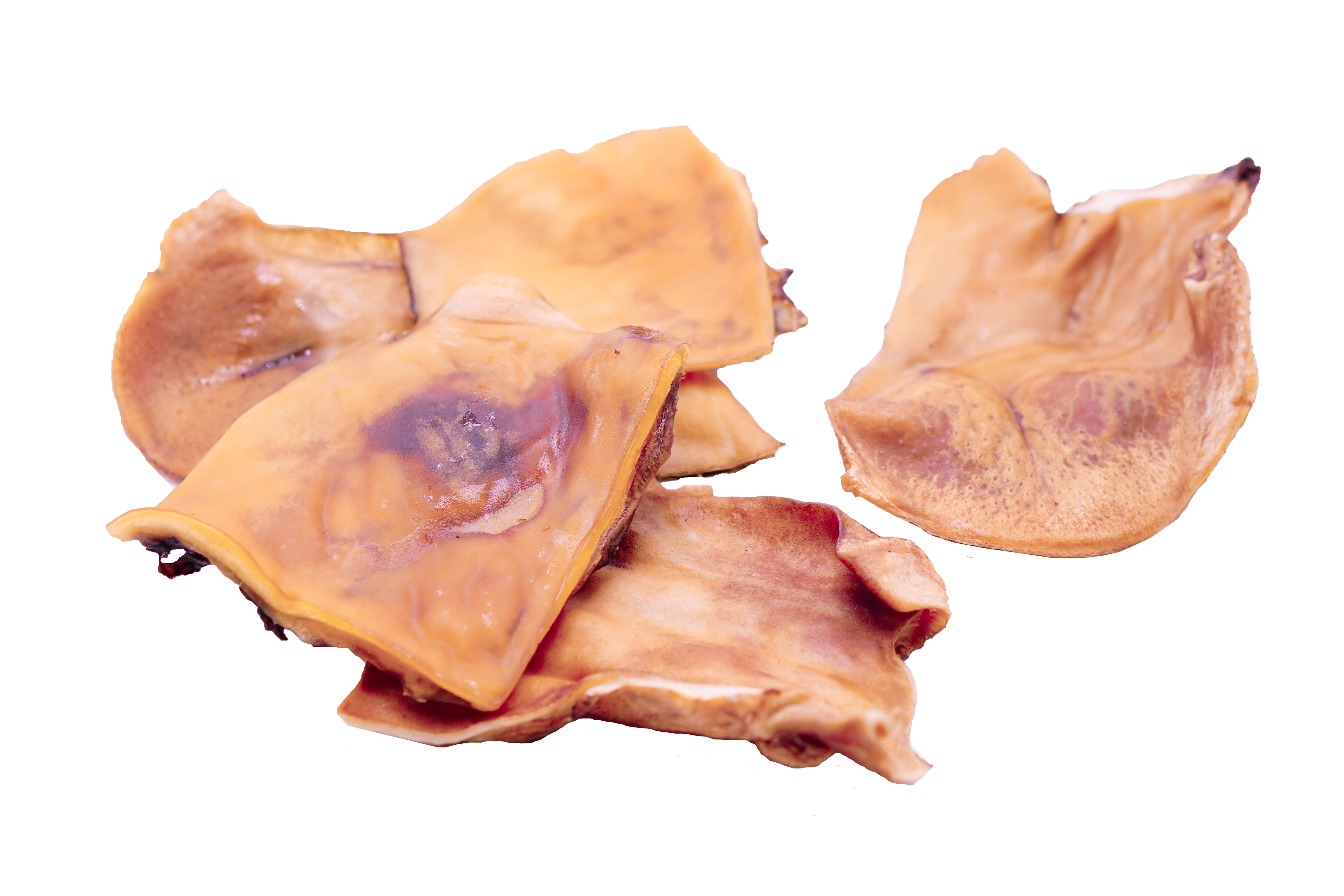 123... Cane incluso! - piatti di pelle di manzo