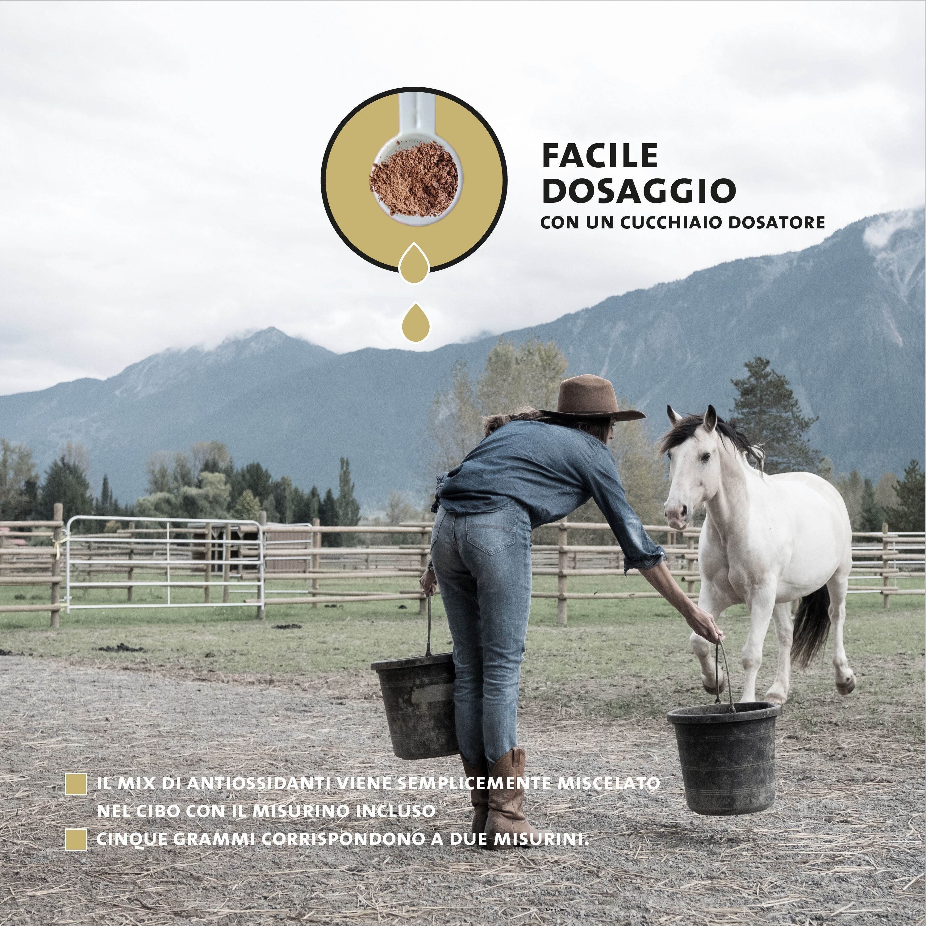 Donna che nutre cavallo in un prato, misurino con polvere, montagne sullo sfondo.