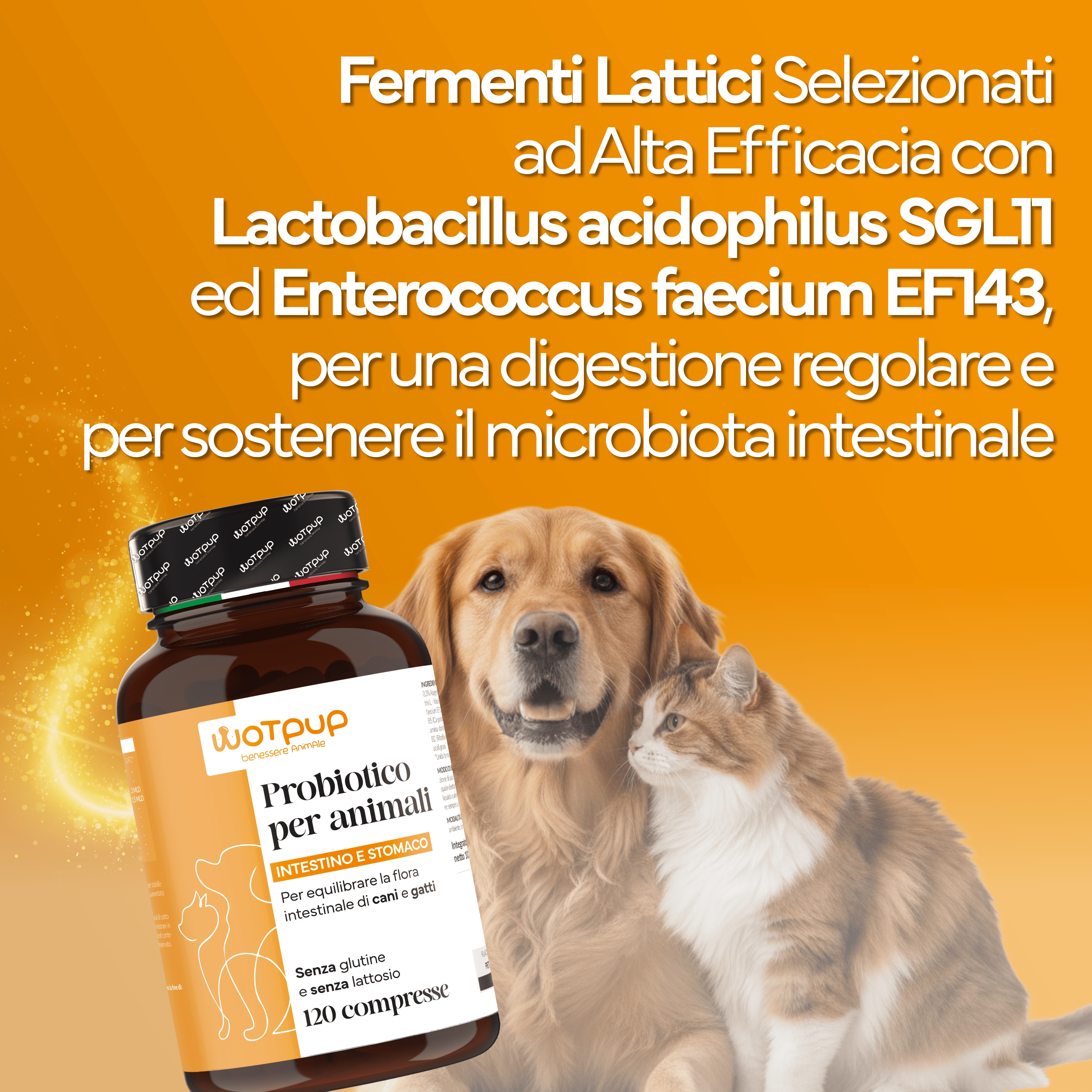 PROBIOTICI PER CANI di Alta Qualità Made in Italy. Fermenti Lattici Cane e Gatto, 120 Compresse - 4