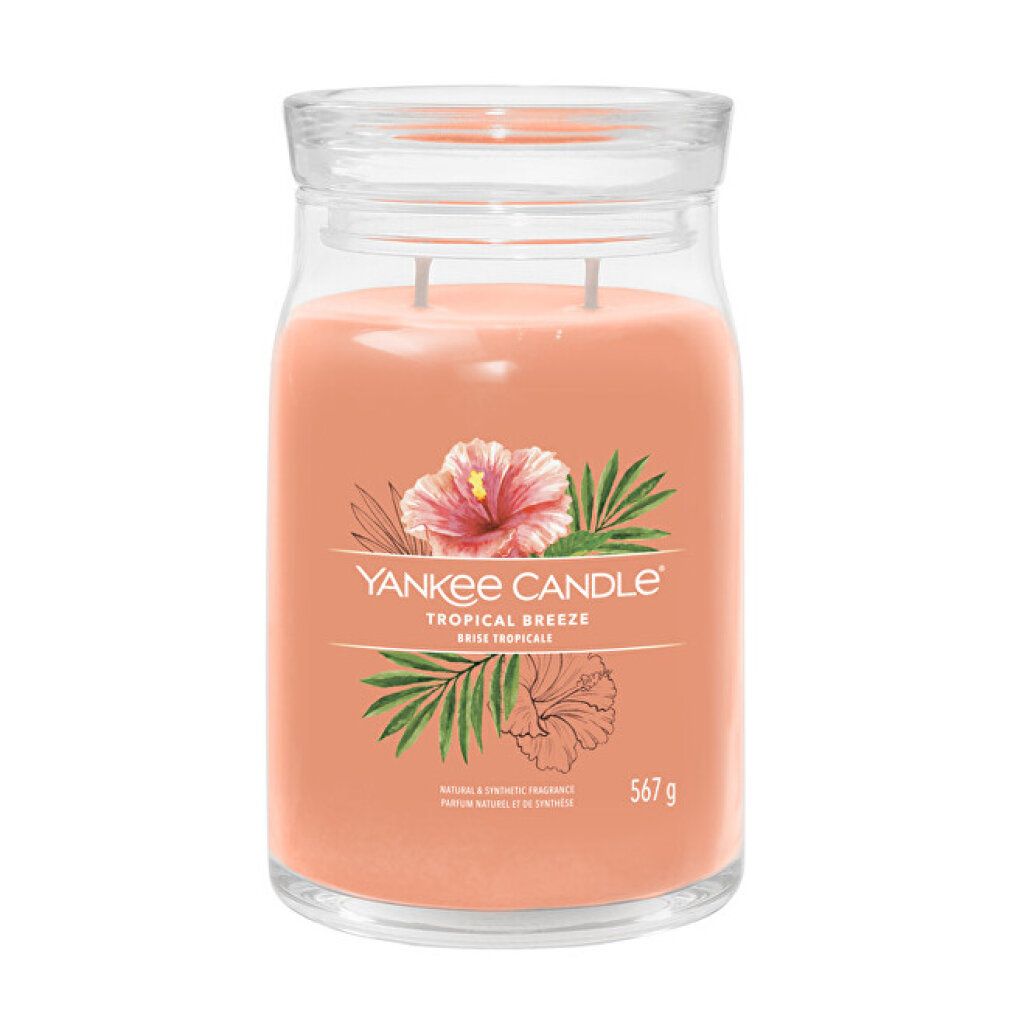 Candela in vetro rosa con coperchio. Etichetta con fiori e scritta 'Tropical Breeze'. Peso: 567 g.
