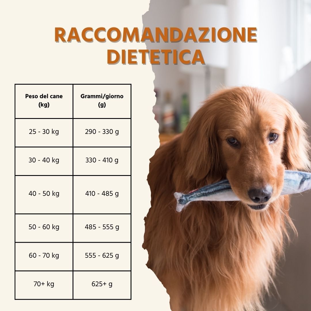 Raccomandazioni dietetiche. Tabella con peso del cane e quantità di cibo in grammi.