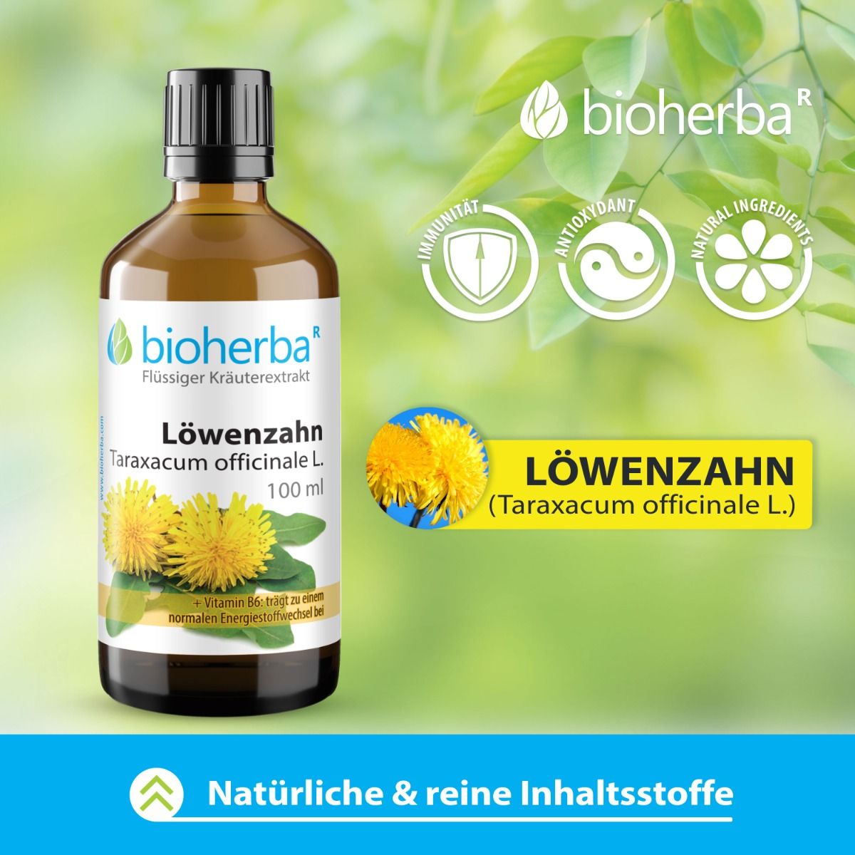 Bioherba Löwenzahn, Taraxacum officinale L. Gocce. 100 ml. Con simboli di immunità, antiossidanti e ingredienti naturali.