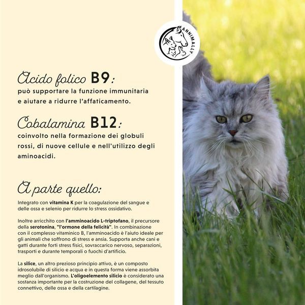 Gatto nell'erba. Testo sulle vitamine B: B9, B12. Integrazioni con vitamina K, L-triptofano e silicio. Logo.
