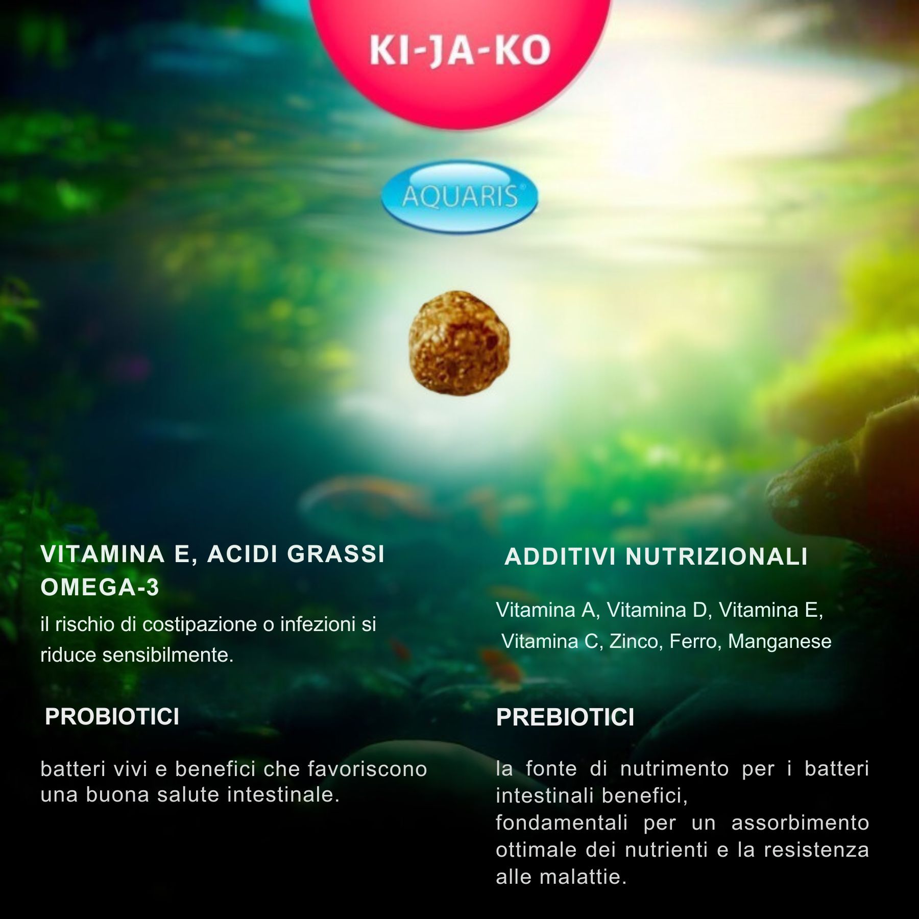 Grafico con pellet alimentare e testo. Testo: KI-JA-KO, Aquaris, Vitamina E, Omega-3, Prebiotici, Probiotici.