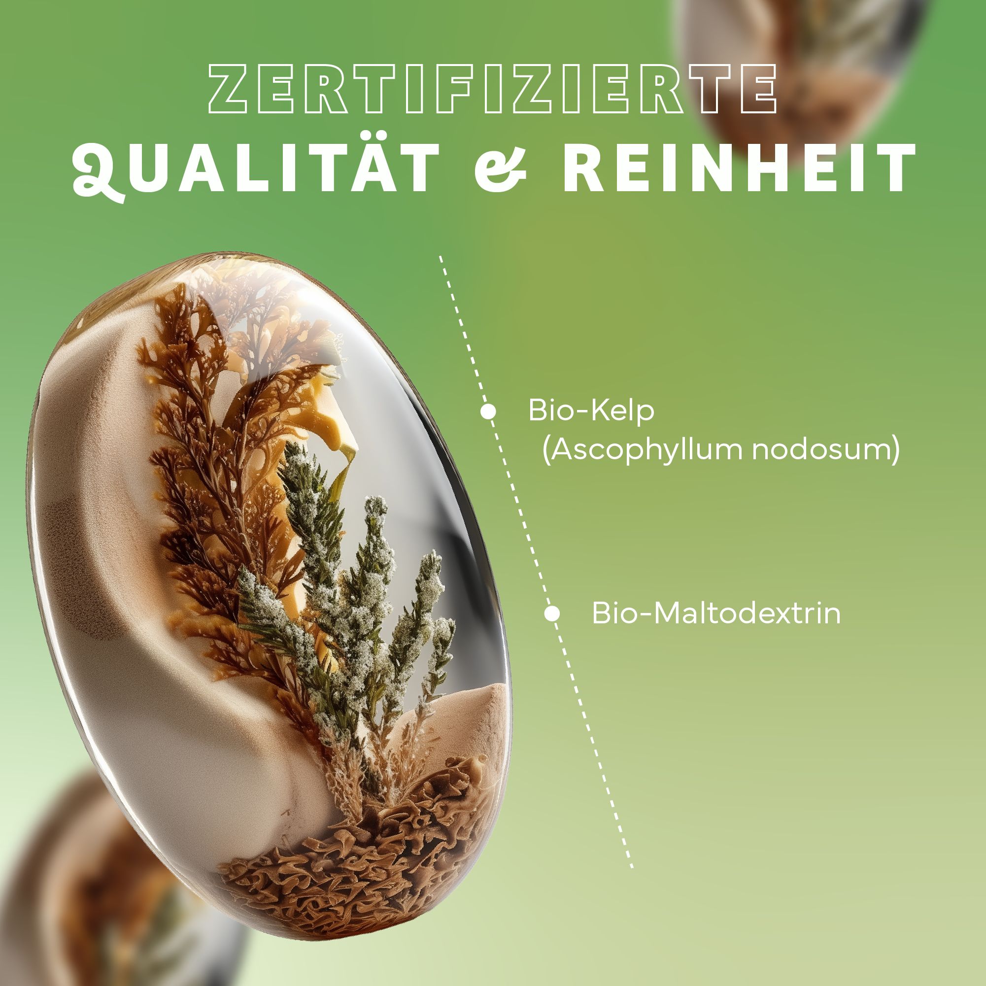 Primo piano di capsule trasparenti con bio-kelp e bio-maltodestrina. Testo: Qualità e purezza certificate.