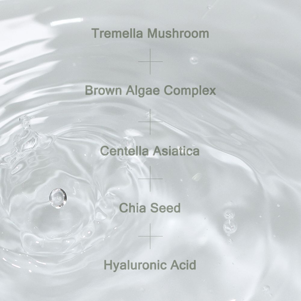 Haut tonic Phyto Plump Collagen (Toner)