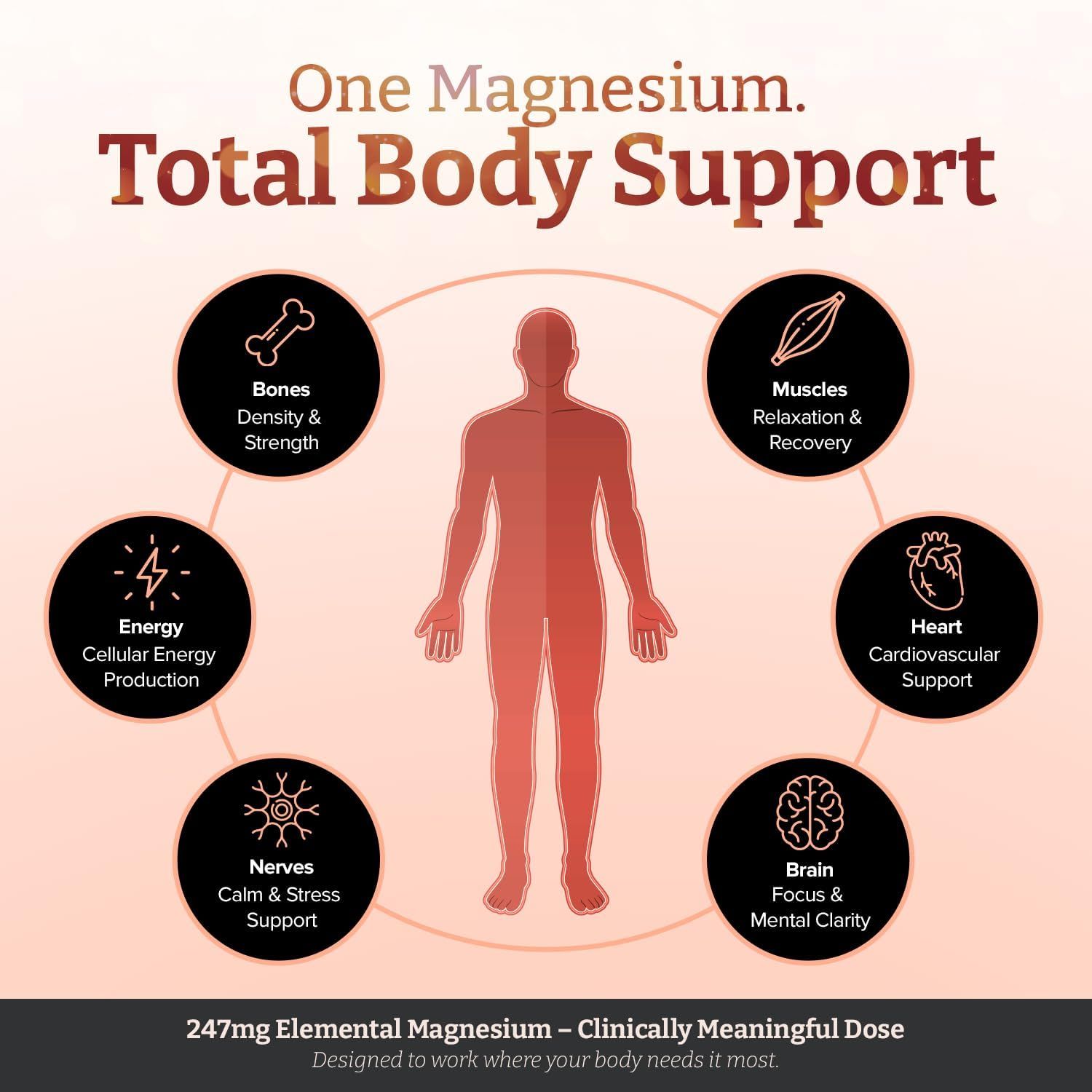 Grafica con figura umana e icone. Mostra i benefici del magnesio per tutto il corpo, come ossa, muscoli, cuore.