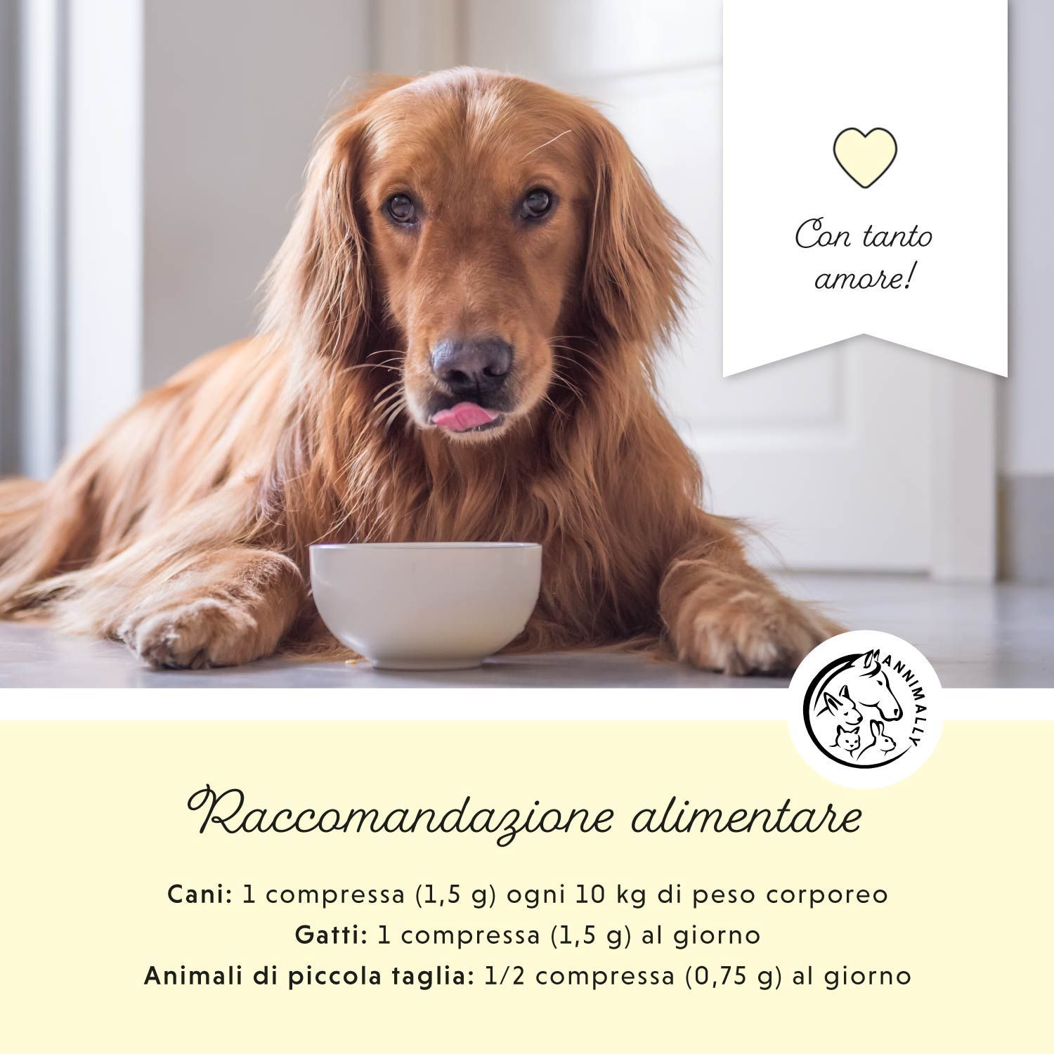 Cane davanti a una ciotola. Testo: Raccomandazioni alimentari. Cani: 1 compressa per 10 kg. Gatti: 1 compressa. Piccoli animali: 1/2 compressa. Logo: Annimally.