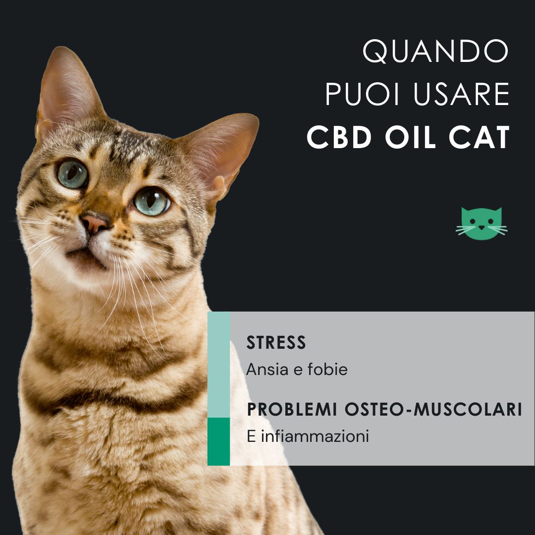 Confronto tra olio CBD con e senza proprietà. Testo: 0% THC, Full Spectrum, 100% naturale, per tutte le taglie.