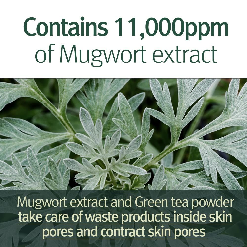 Primo piano di piante. Testo: Contains 11.000ppm of Mugwort extract. Testo: Mugwort extract and Green tea powder take care of waste.