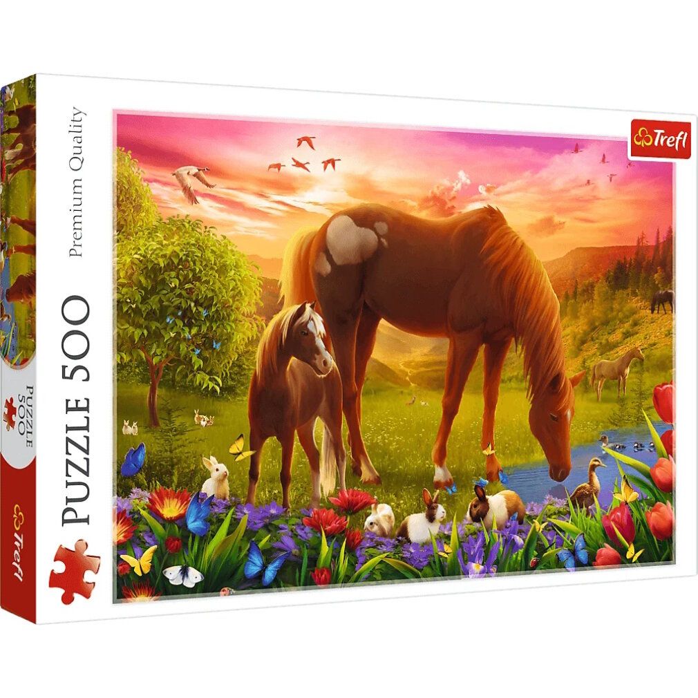 trefl Cavallo nel prato puzzle 500 pezzi