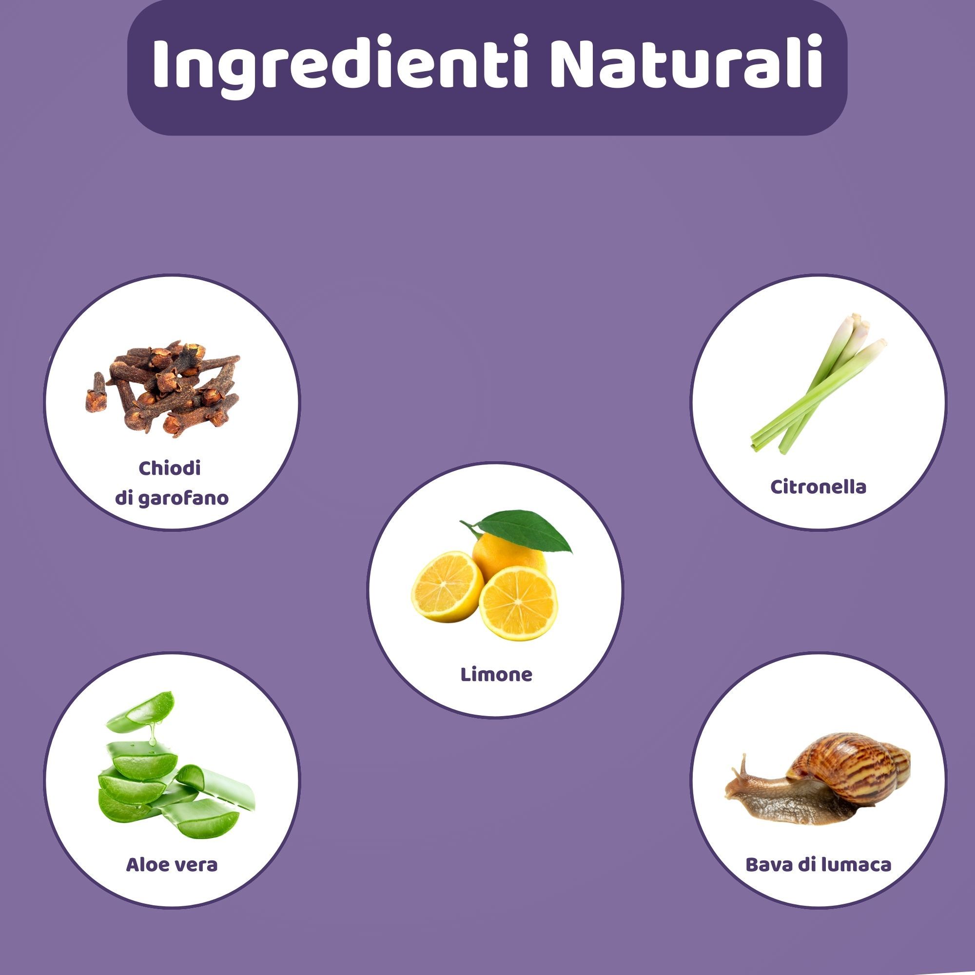 Grafica con ingredienti: chiodi di garofano, limone, aloe vera, citronella e bava di lumaca. Titolo: Ingredienti Naturali.