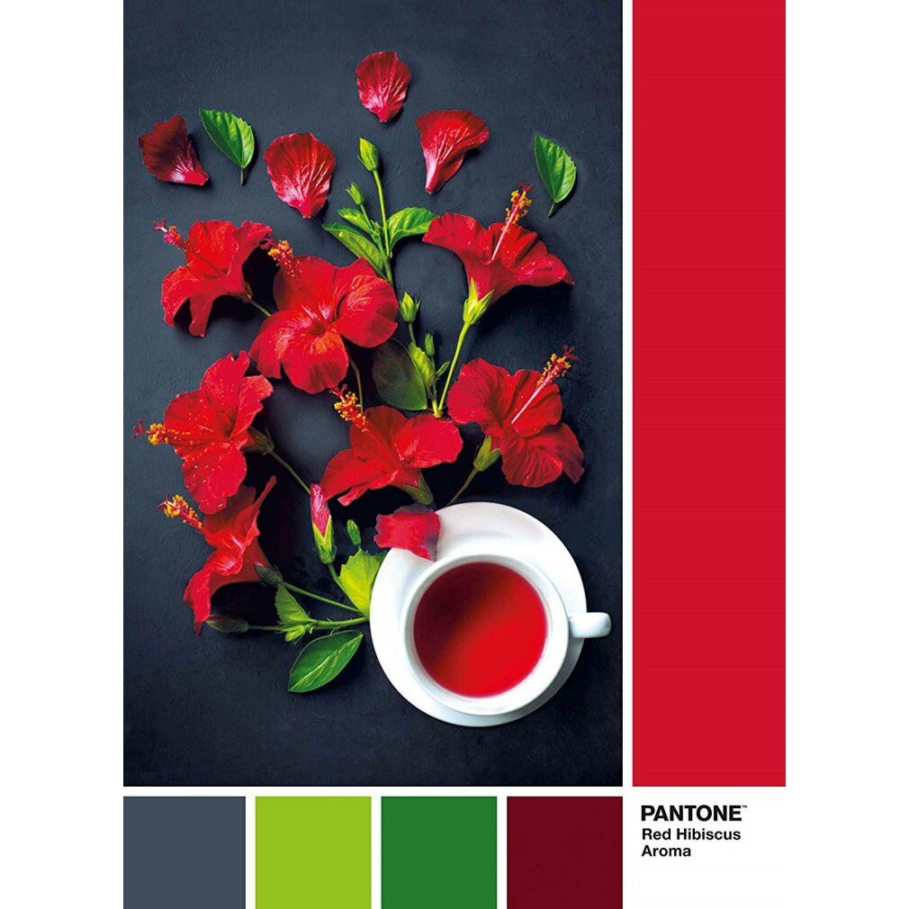 Clementoni 1000Pcs Puzzle Pantone Goji Berry 39494