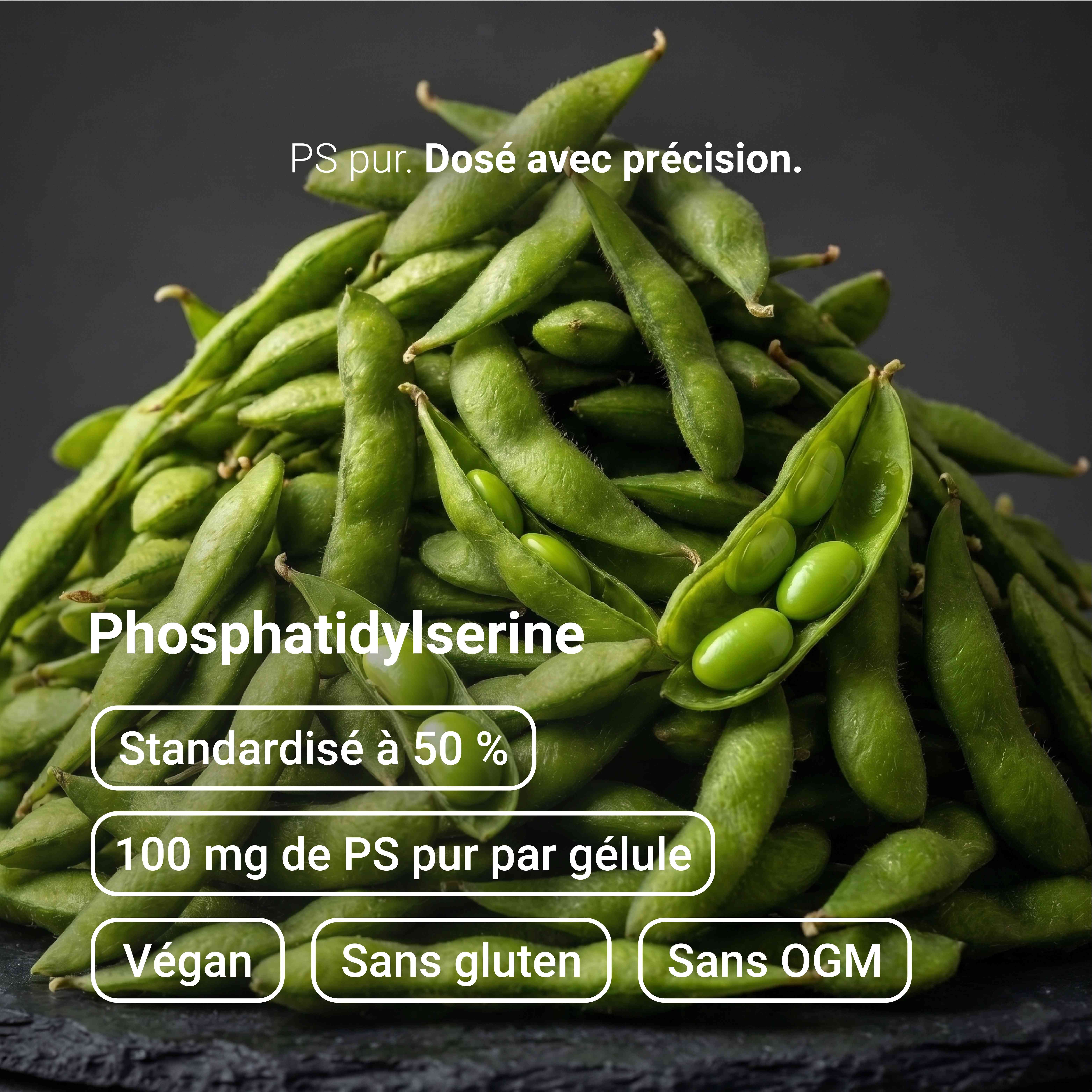 Cumulo di fave di soia in baccelli, con testo su fosfatidilserina, 100 mg per capsula, vegano, senza glutine, senza OGM.