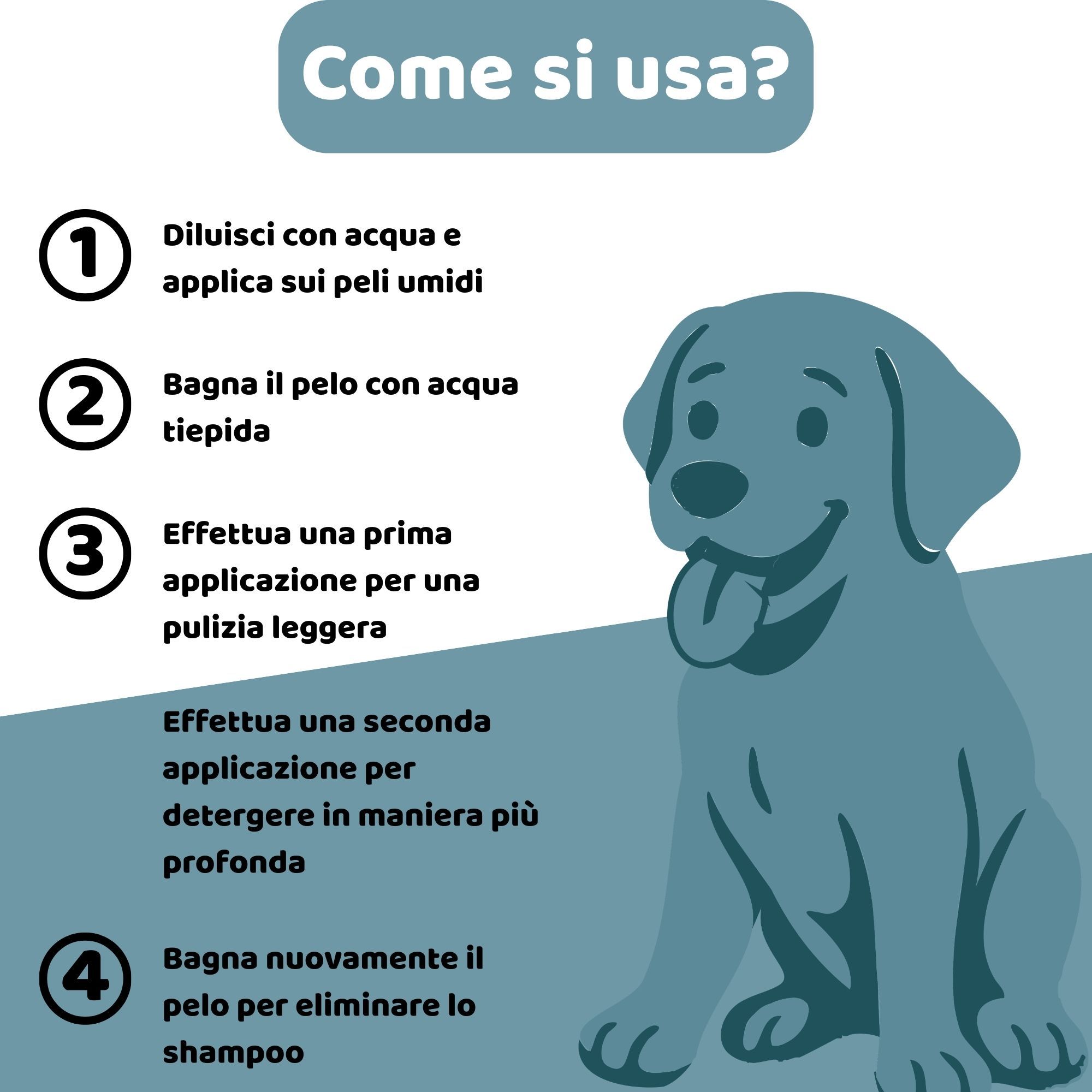 Grafica con istruzioni per l'uso dello shampoo. Passaggi 1-4. Immagine di un cane.