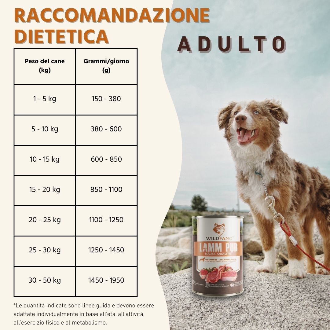 Wildfang - Adult Gourmet Box - Cibo secco