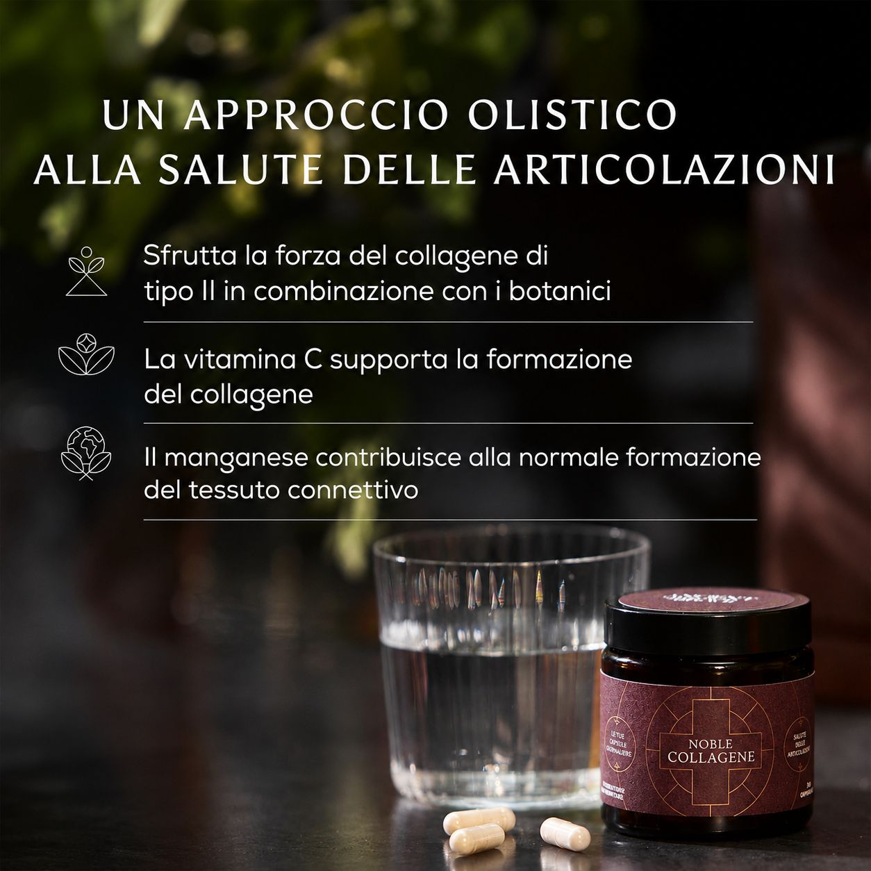 Ancient + Brave Capsule Noble Collagen