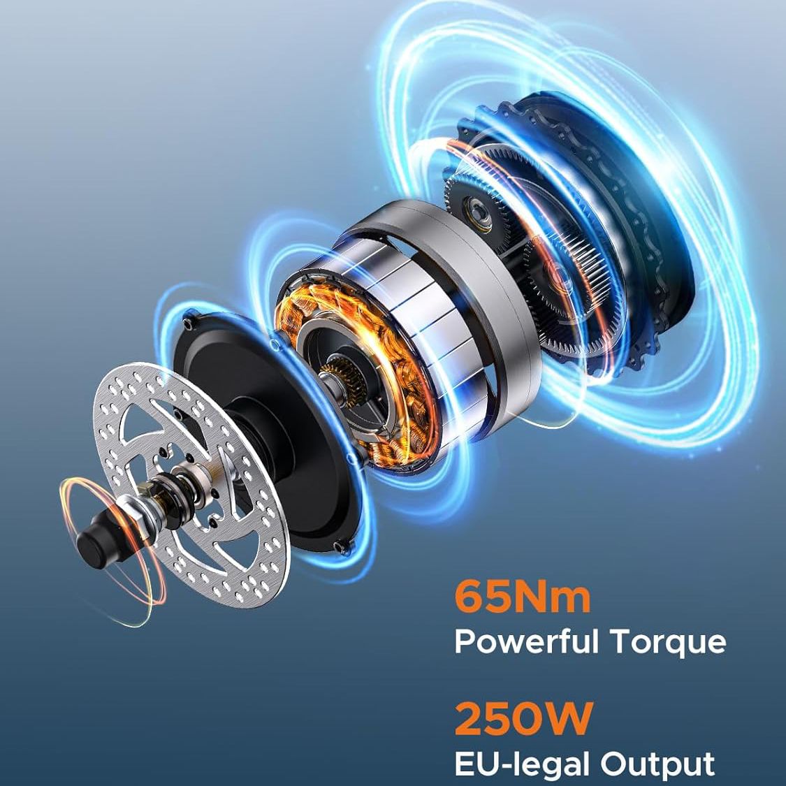 Esploso del motore. Testo: Coppia 65Nm, potenza 250W conforme UE.