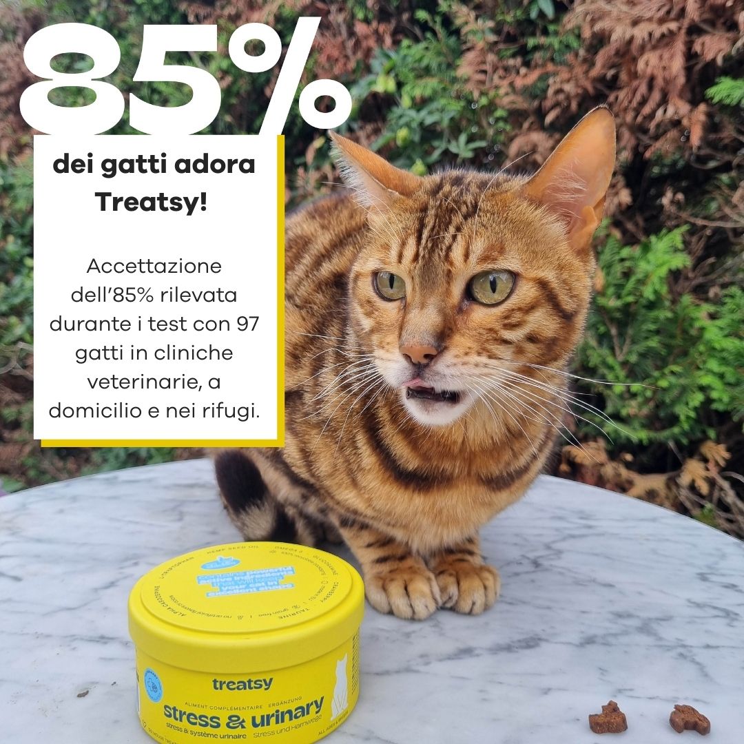 Gatto seduto accanto a un barattolo giallo. Testo: L'85% dei gatti adora Treatsy!