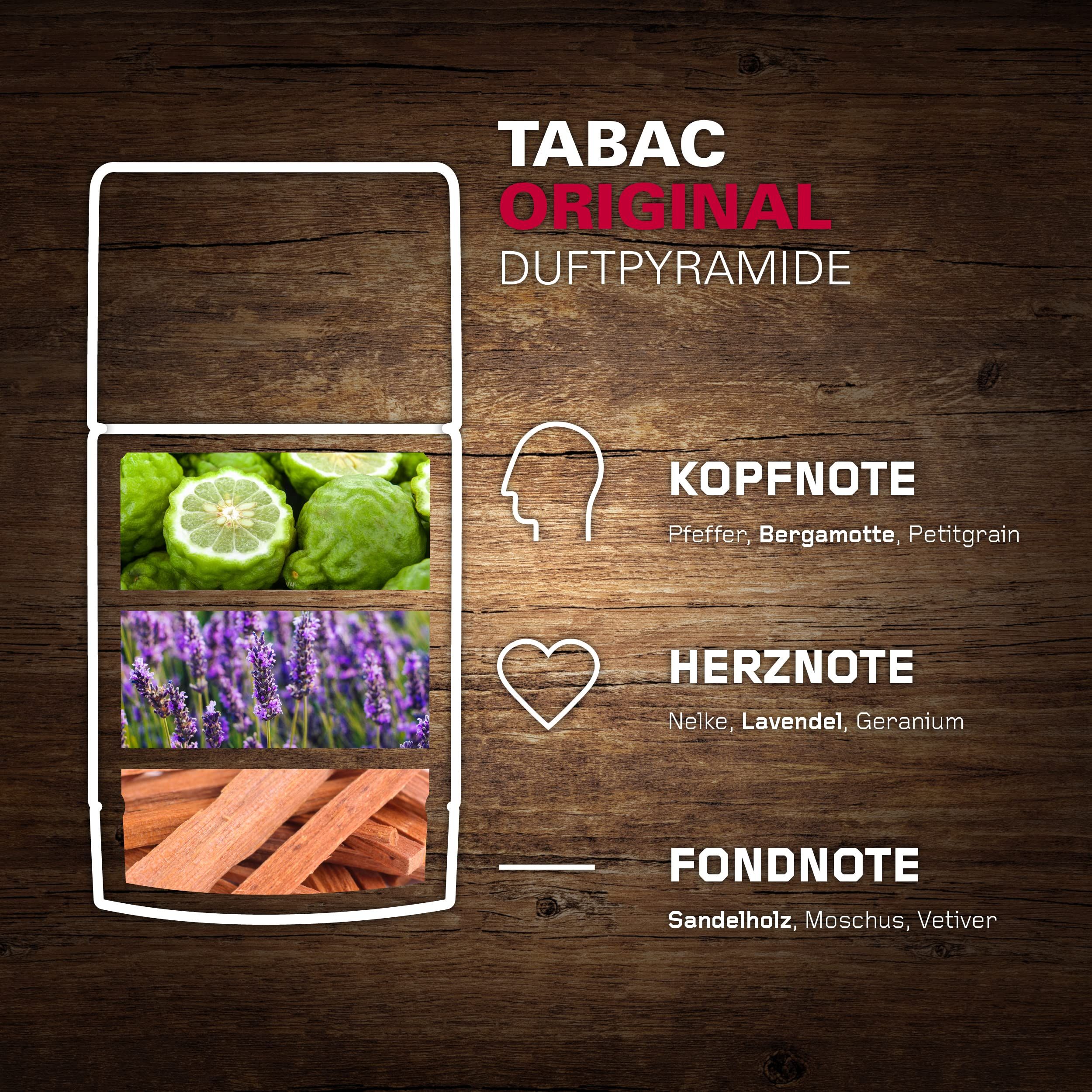 Grafico con piramide olfattiva. Illustrazioni di bergamotto, lavanda e legno di sandalo. Testo: TABAC ORIGINAL.