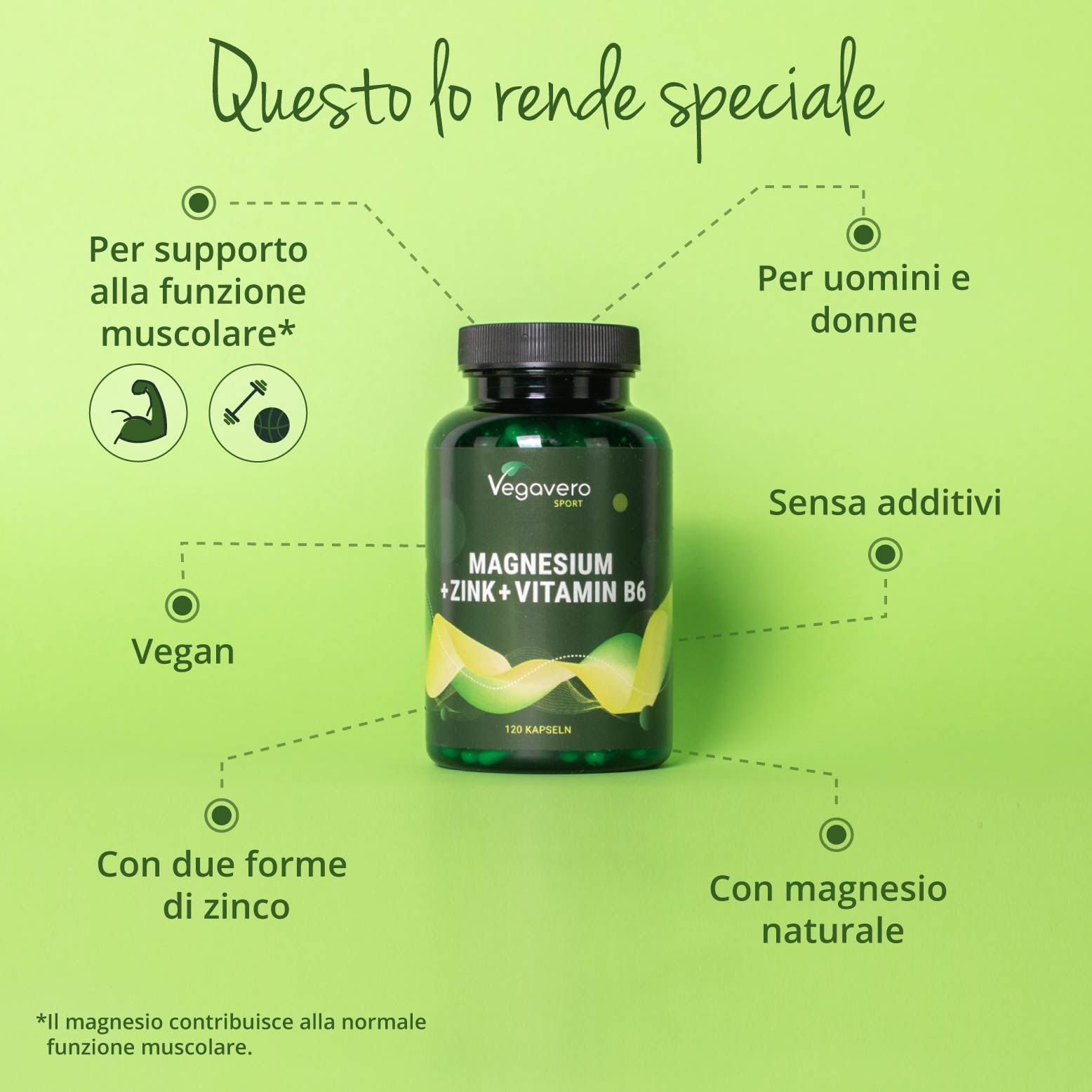 VEGAVERO ZMA
