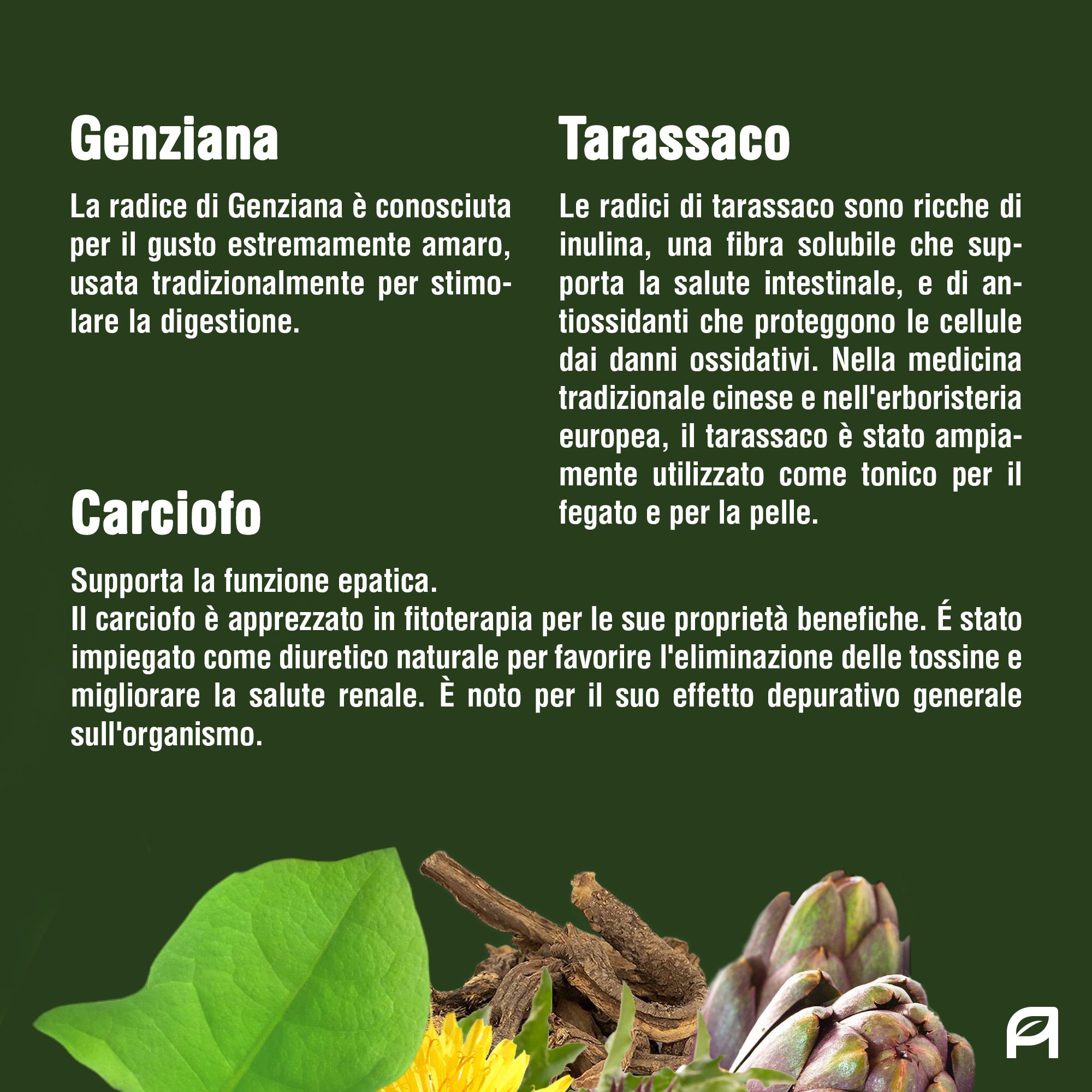 Vitativ® Vita Bitter | Integratore Amaro Forte, 9 Estratti da Piante con Carciofo, Genziana, Zenzero