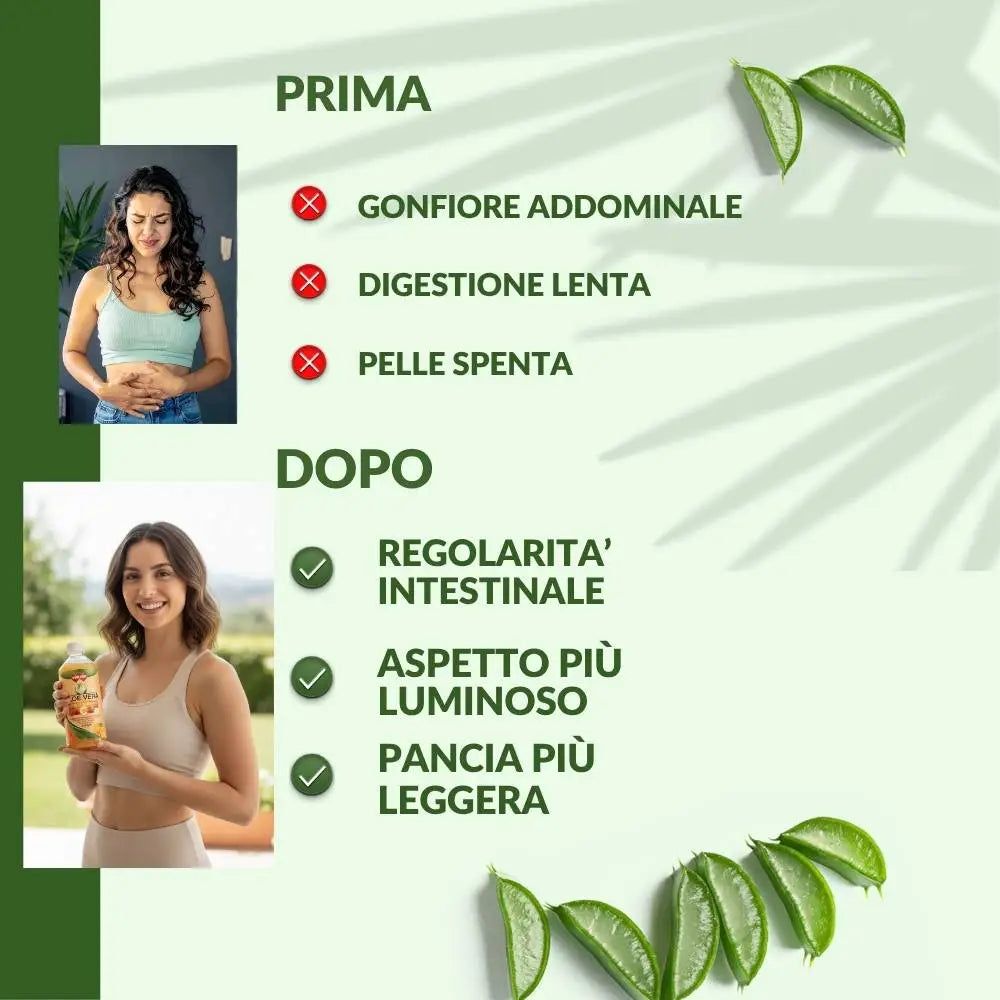 Winter Aloe Vera da Bere Transit con Psillio e Prugna – Succo Naturale Senza Aloina