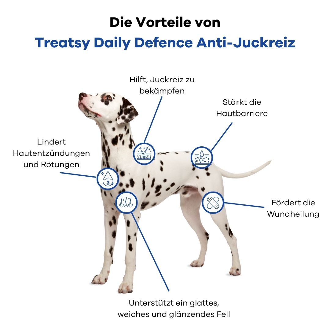 Cane dalmata con infografica. Vantaggi di Treatsy Daily Defence: pelle, pelo, infiammazione, guarigione.
