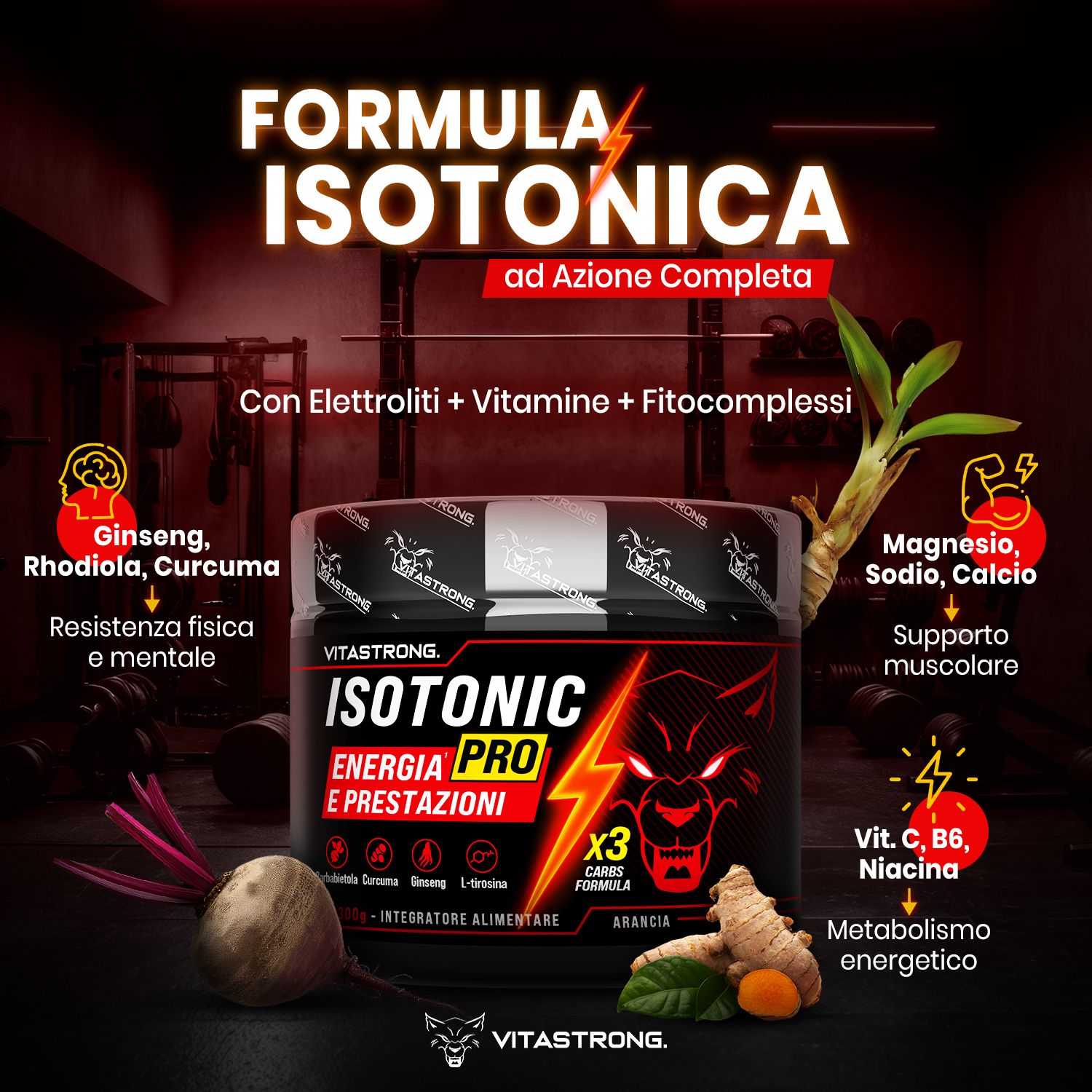 Barattolo con scritte rosse e bianche. Ingredienti e vitamine. Logo testa di lupo. Elementi rossi e gialli.