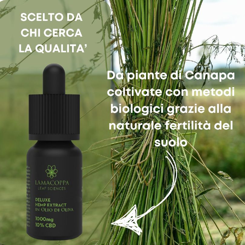 Olio CBD 10% Broad Spectrum Senza THC - Utile per Rilassamento e Sonno