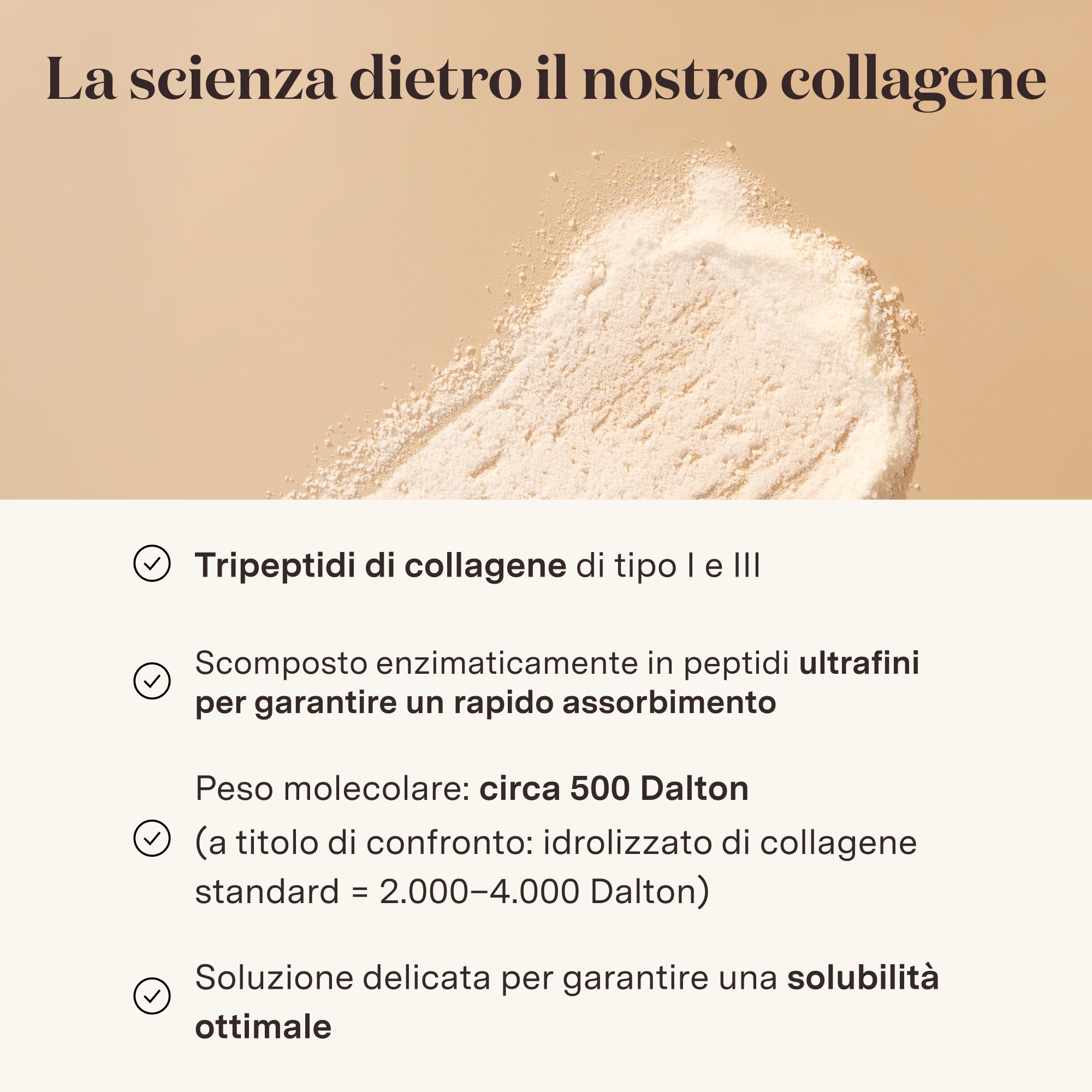Polvere Glow25 Collagen Intensive con tripeptidi, peso molecolare circa 500 Dalton.
