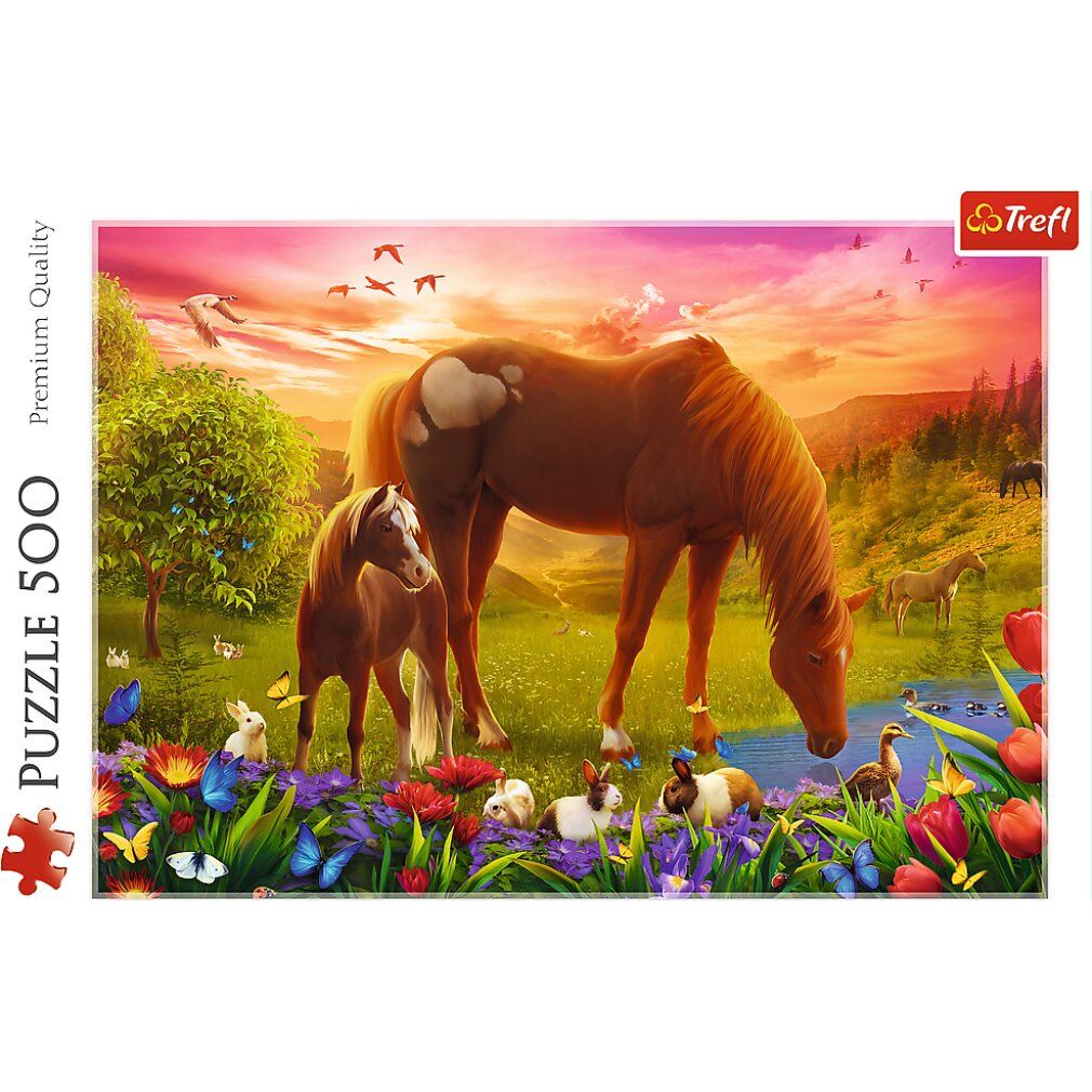 trefl Cavallo nel prato puzzle 500 pezzi