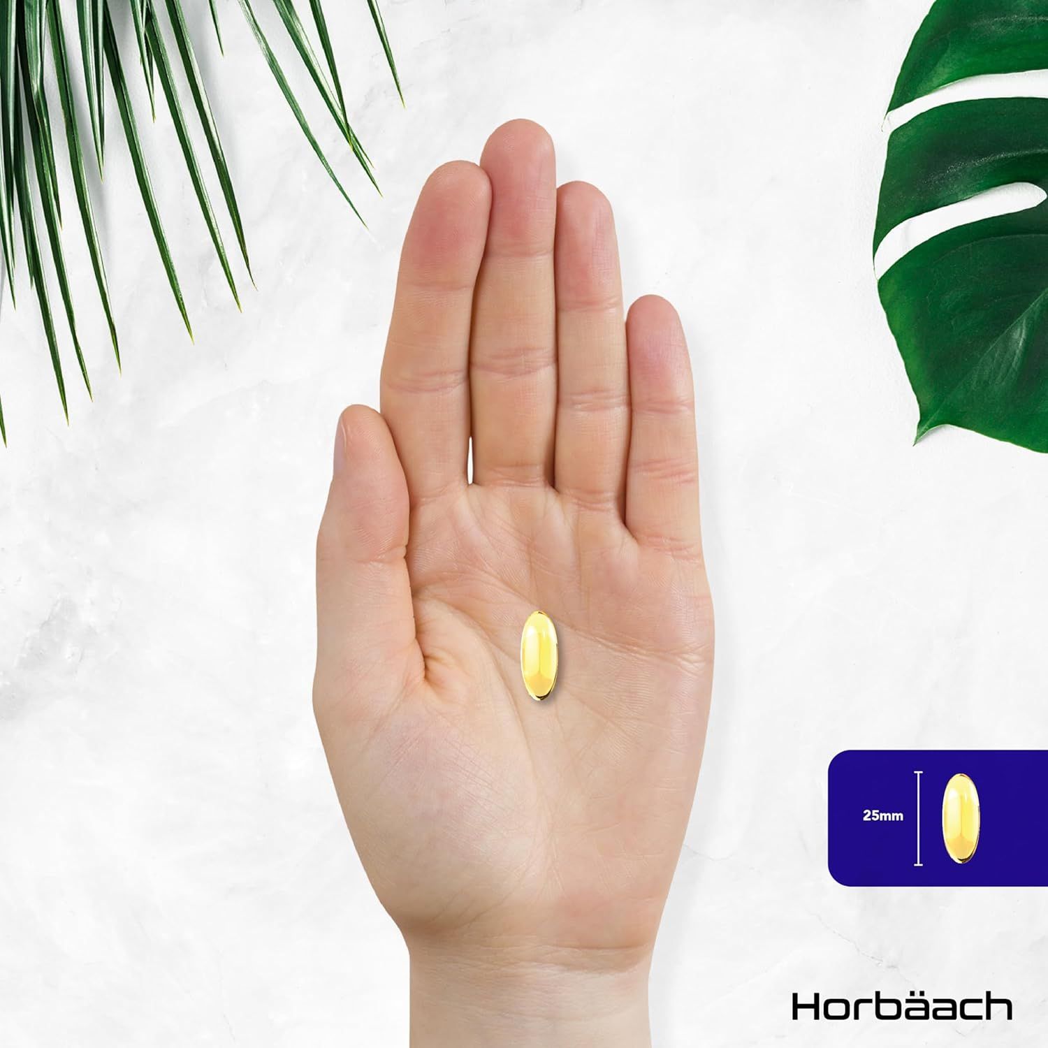 Una capsula in una mano. Accanto, uno schizzo con le dimensioni 25mm x 9mm.