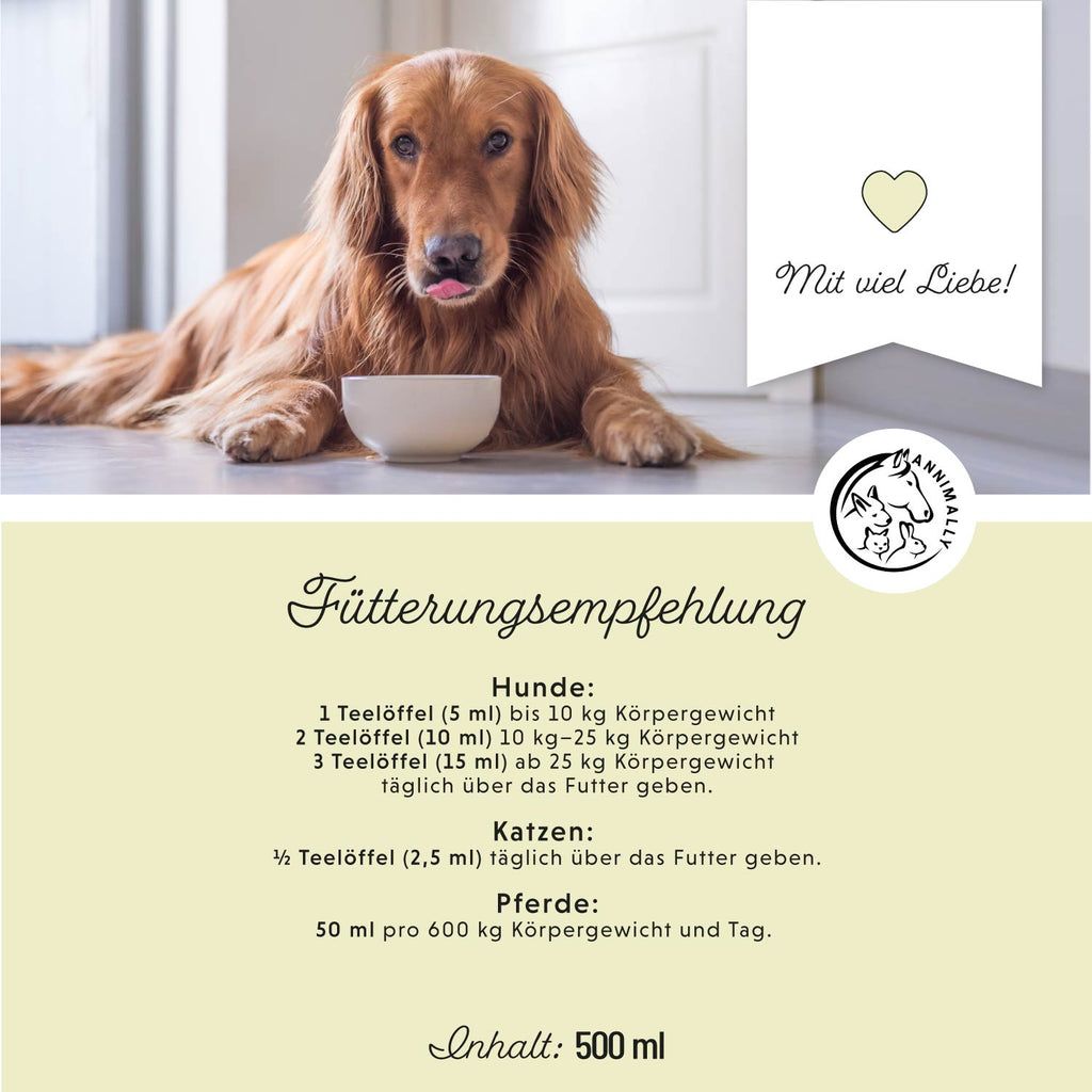 Golden Retriever con ciotola. Testo: Raccomandazioni per l'alimentazione di cani, gatti e cavalli. Contenuto: 500 ml. Con tanto amore!