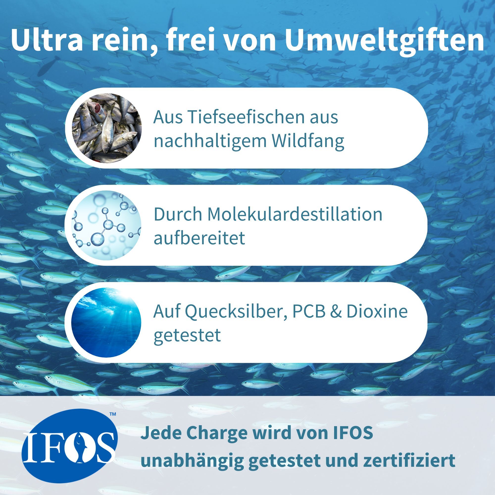 Tre riquadri bianchi. Pesca sostenibile, distillazione molecolare, test mercurio, PCB e diossina. Certificazione IFOS.