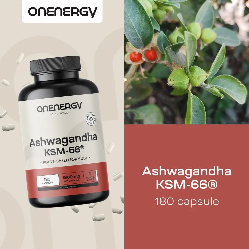 Flacone Ashwagandha KSM-66® con 180 capsule. Pianta di Ashwagandha con bacche rosse accanto.