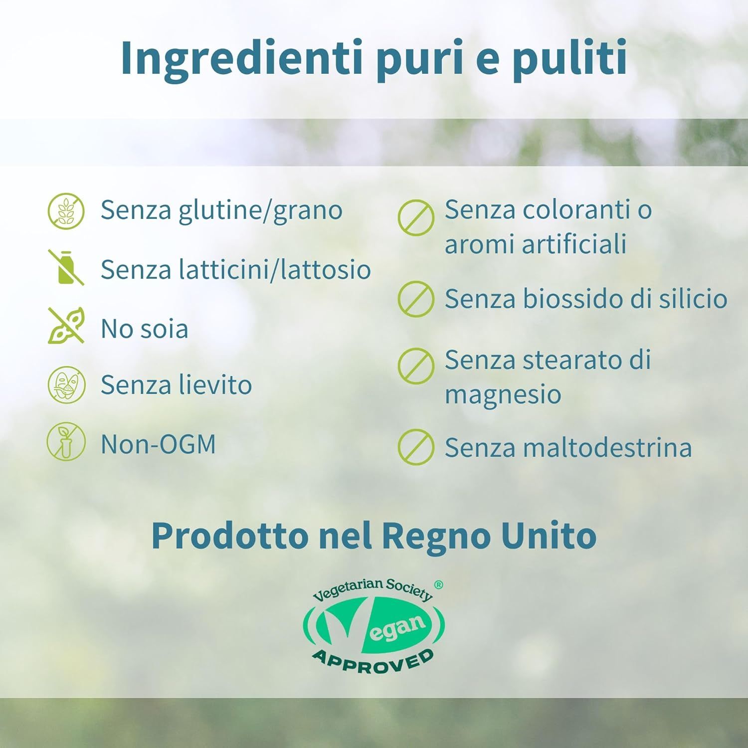 Testo: Ingredienti puri e puliti. Elenco degli ingredienti non inclusi, come glutine, lattosio, soia, lievito, senza OGM.