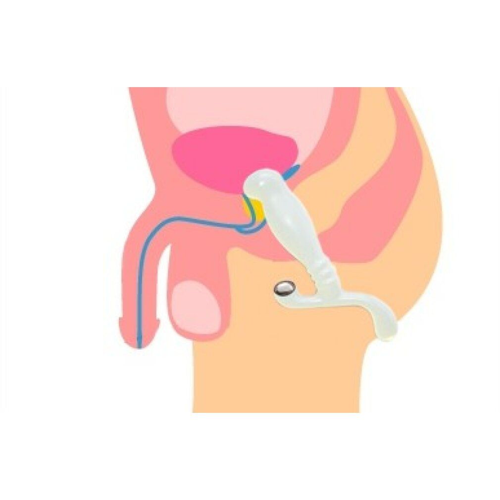 Illustrazione anatomica con un massaggiatore trasparente.