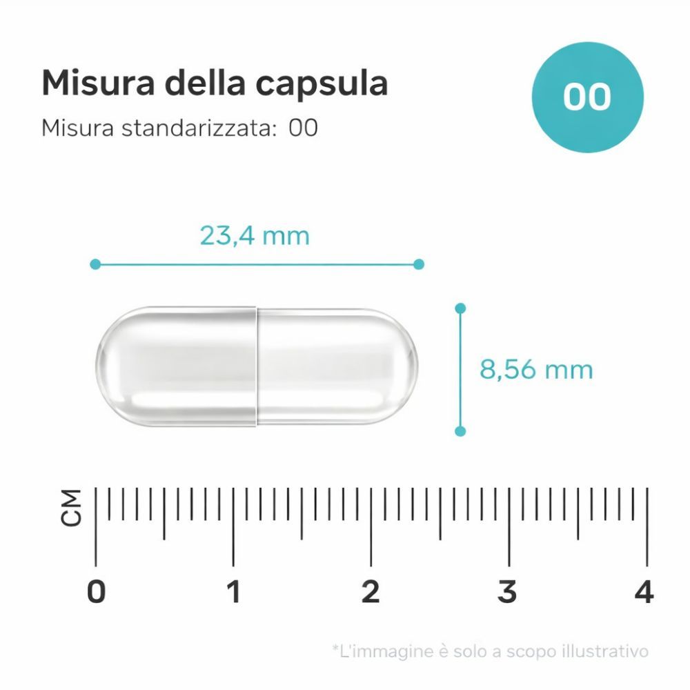 Capsula. Trasparente, oblunga. Dimensioni: 23,4 mm x 8,56 mm. Scala in cm.
