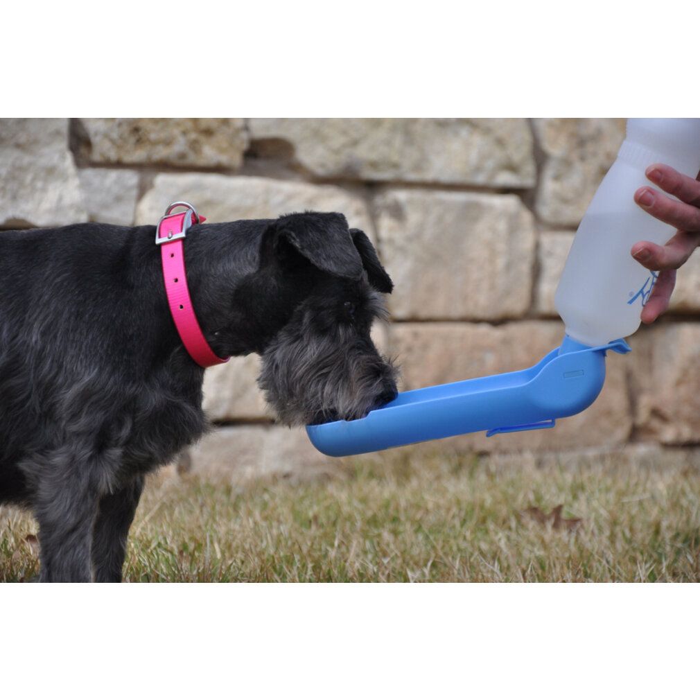 Cane nero che beve da una bottiglia d'acqua blu per cani. La bottiglia è tenuta da una mano.