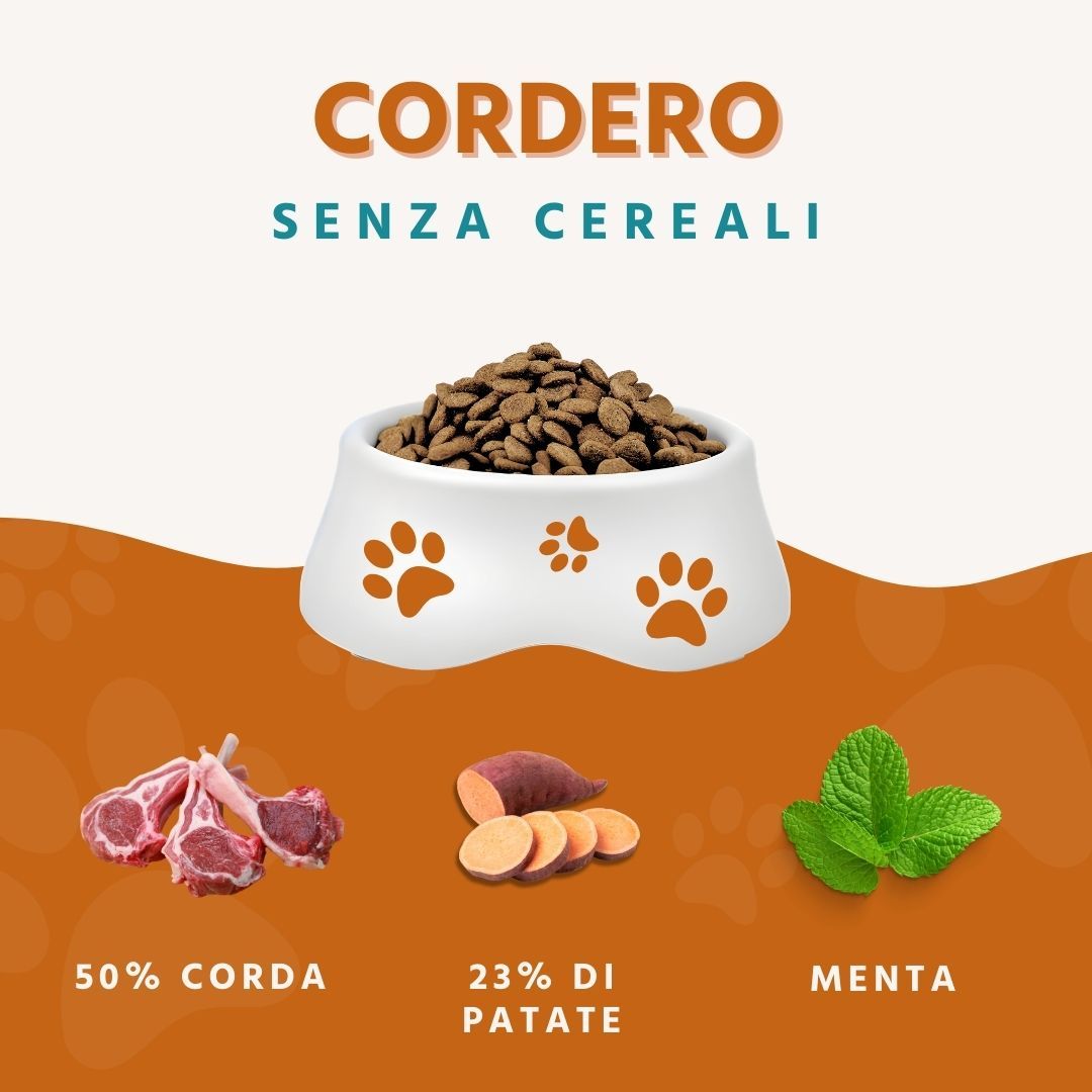 Ciotola con cibo secco, accanto a carne di agnello, fette di patate dolci e menta. Testo: Cordero senza cereali.