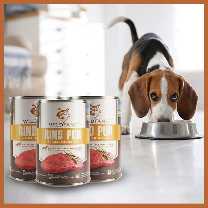 Tre lattine di cibo umido Rind pur e cane. Scritta: WILDFANG, Rind pur. Cane mangia da una ciotola. Sfondo: pavimento chiaro.