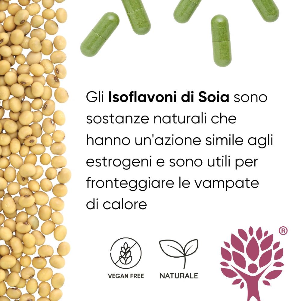 Semi di soia e capsule verdi. Testo: Isoflavoni di soia, sostanze naturali simili agli estrogeni. Vegano e naturale.