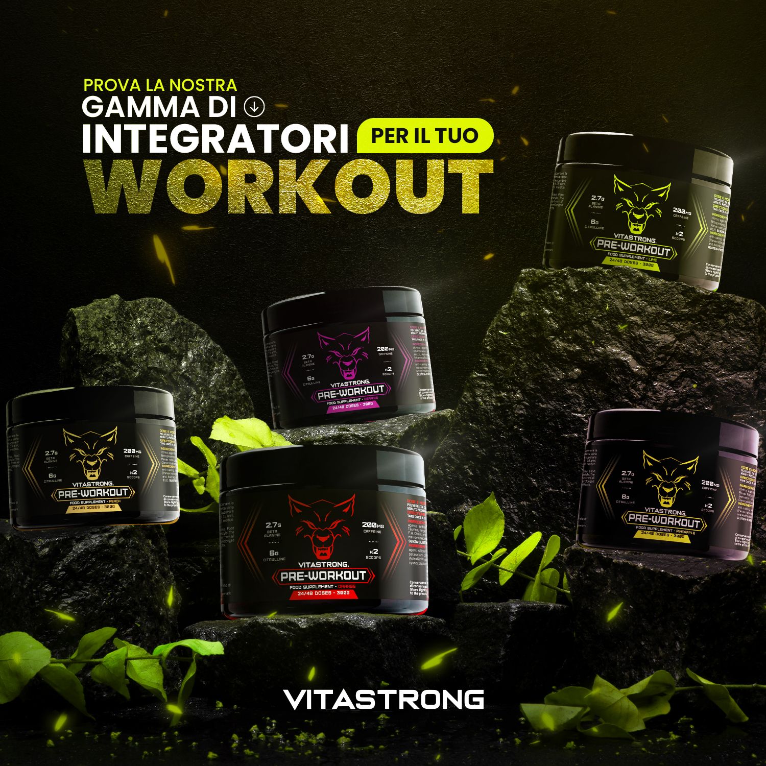Più barattoli Vitastrong Pre-Workout su rocce. Barattoli neri con logo lupo. Testo: WORKOUT, VITASTORNG.