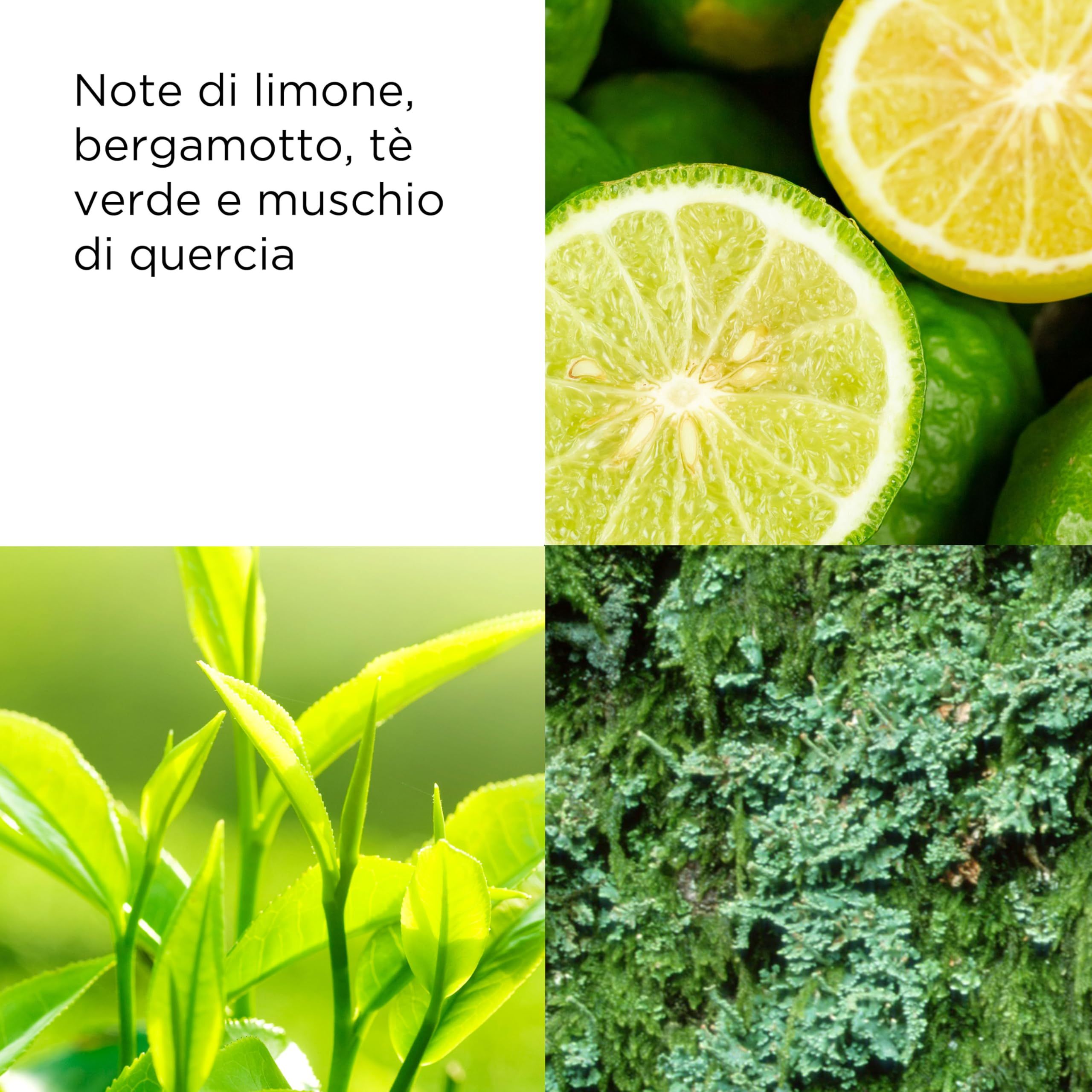 Primo piano di limoni, bergamotto, foglie di tè e muschio. Testo: Note di limone, bergamotto, tè verde e muschio di quercia.