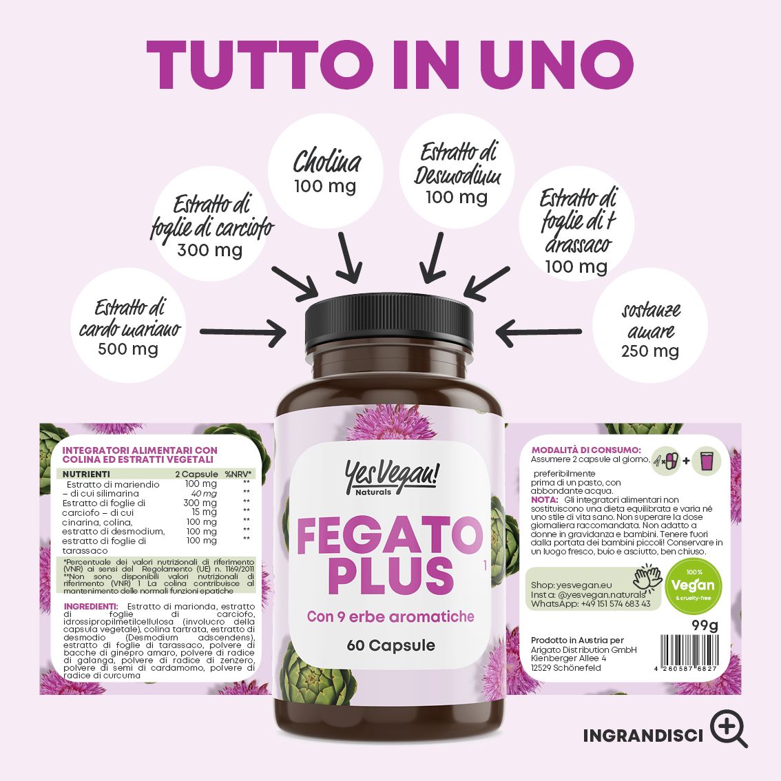 Flacone 'Fegato Plus' con frecce che indicano gli ingredienti come cardo mariano (500mg) e colina (100mg).