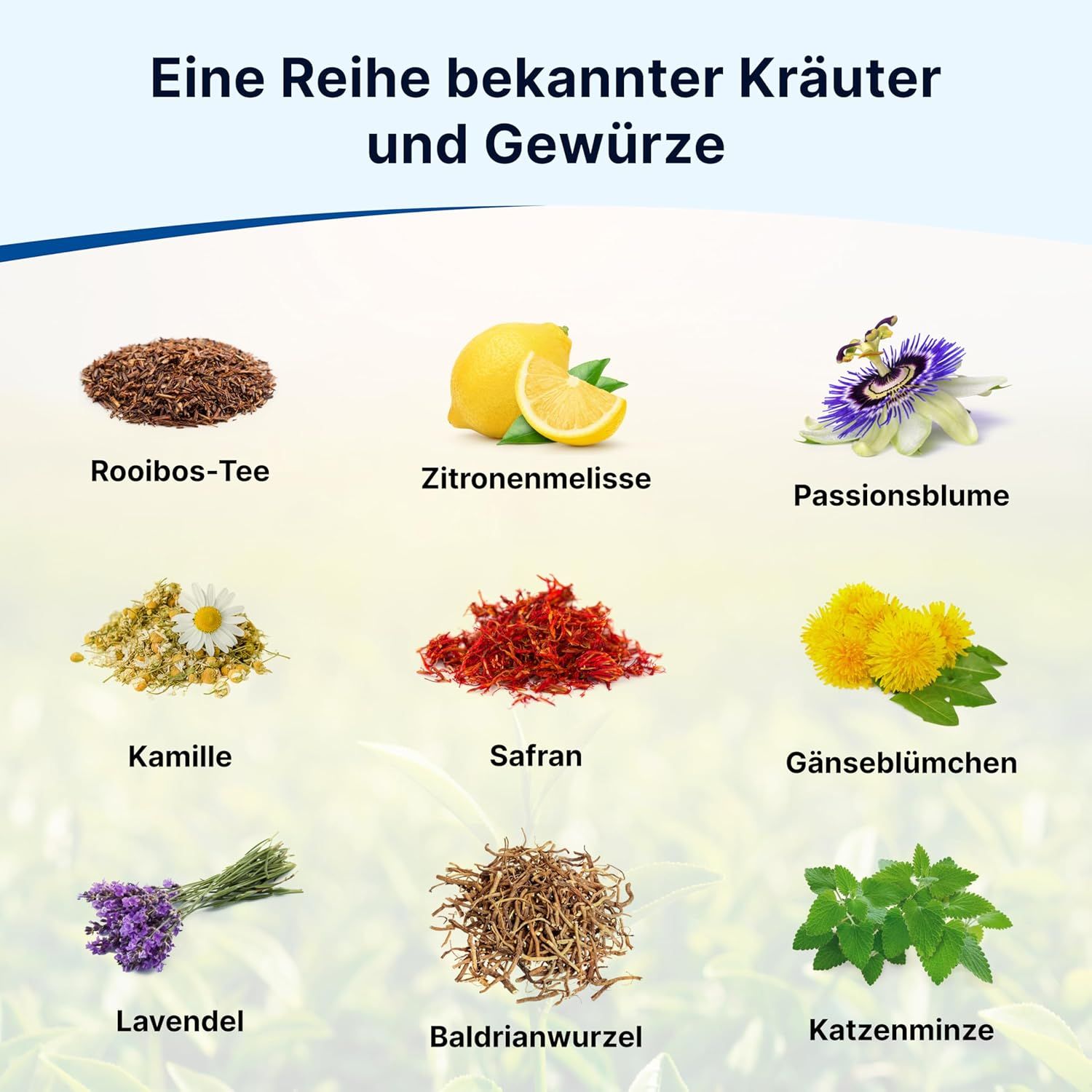 Varie erbe e spezie: tè Rooibos, melissa, passiflora, camomilla, zafferano, margherita, lavanda, valeriana, erba gatta.