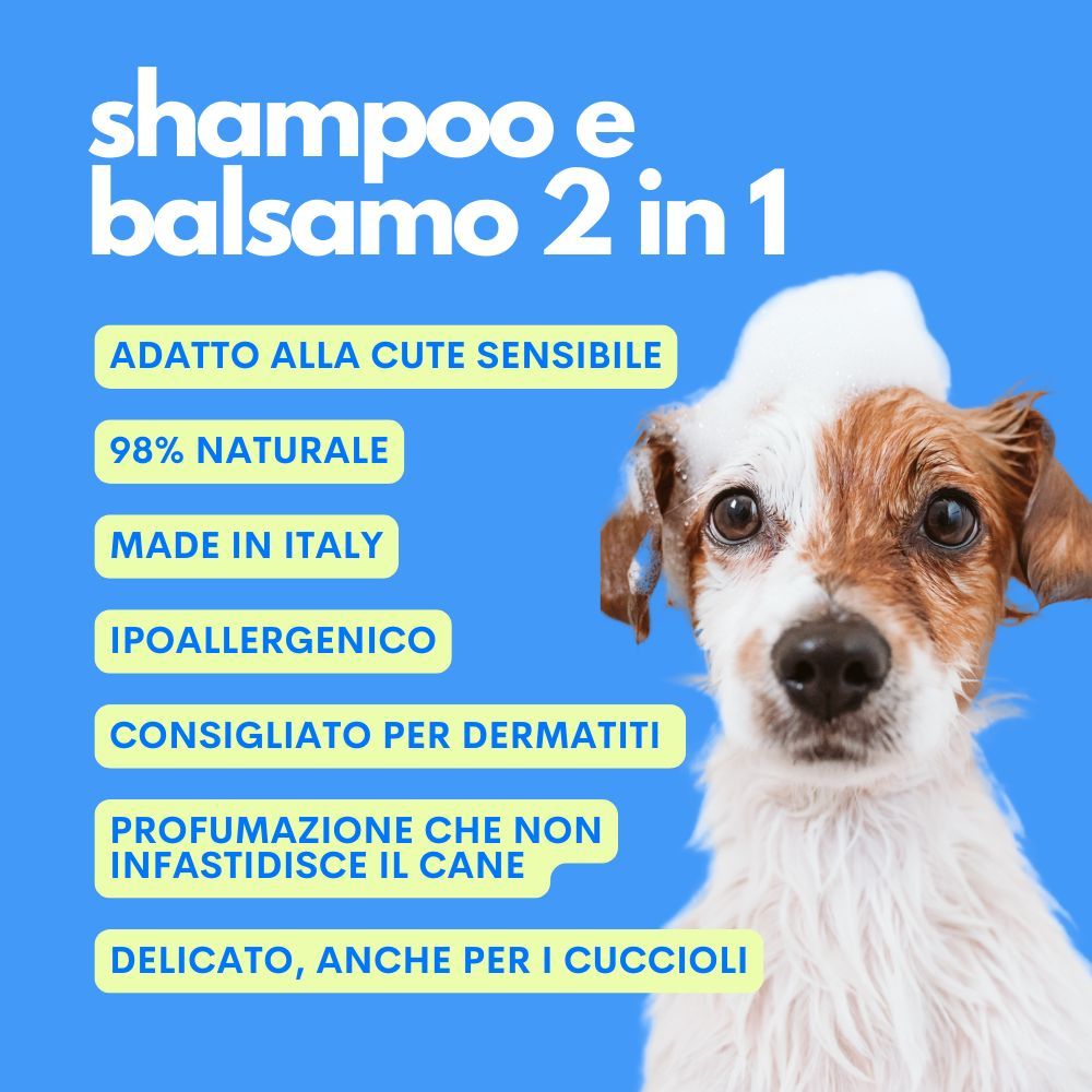 Jampy Shampoo Per Cani The Number One